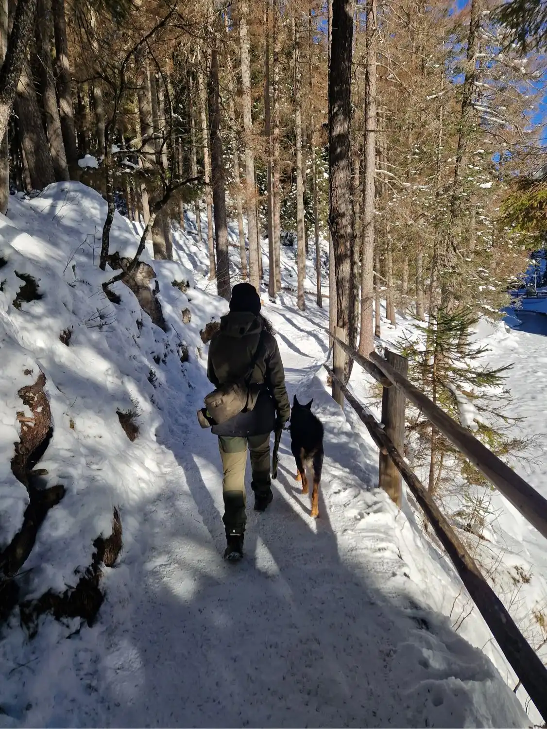 image-5