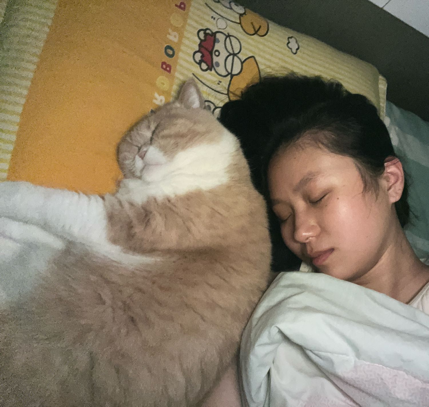 image-7