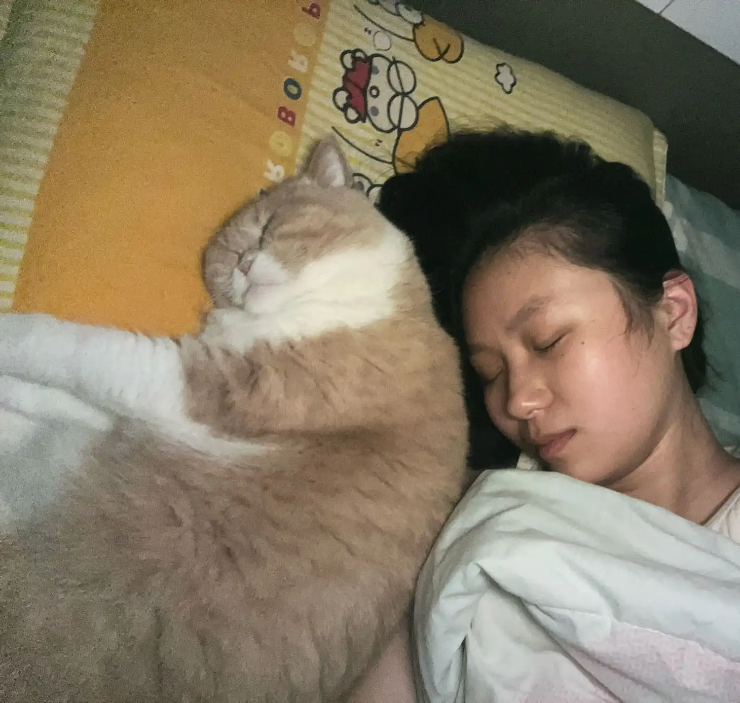 image-7