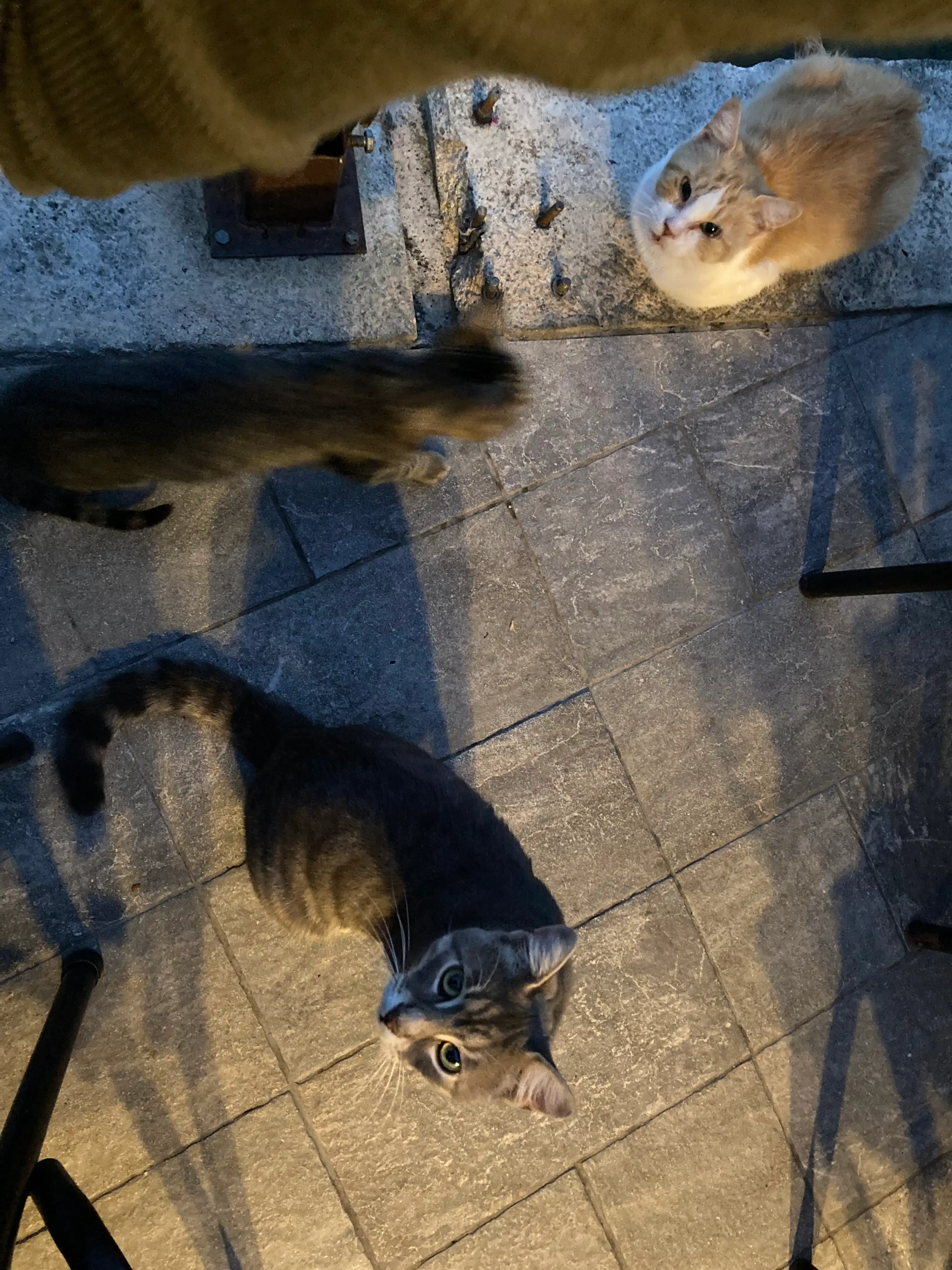 image-10