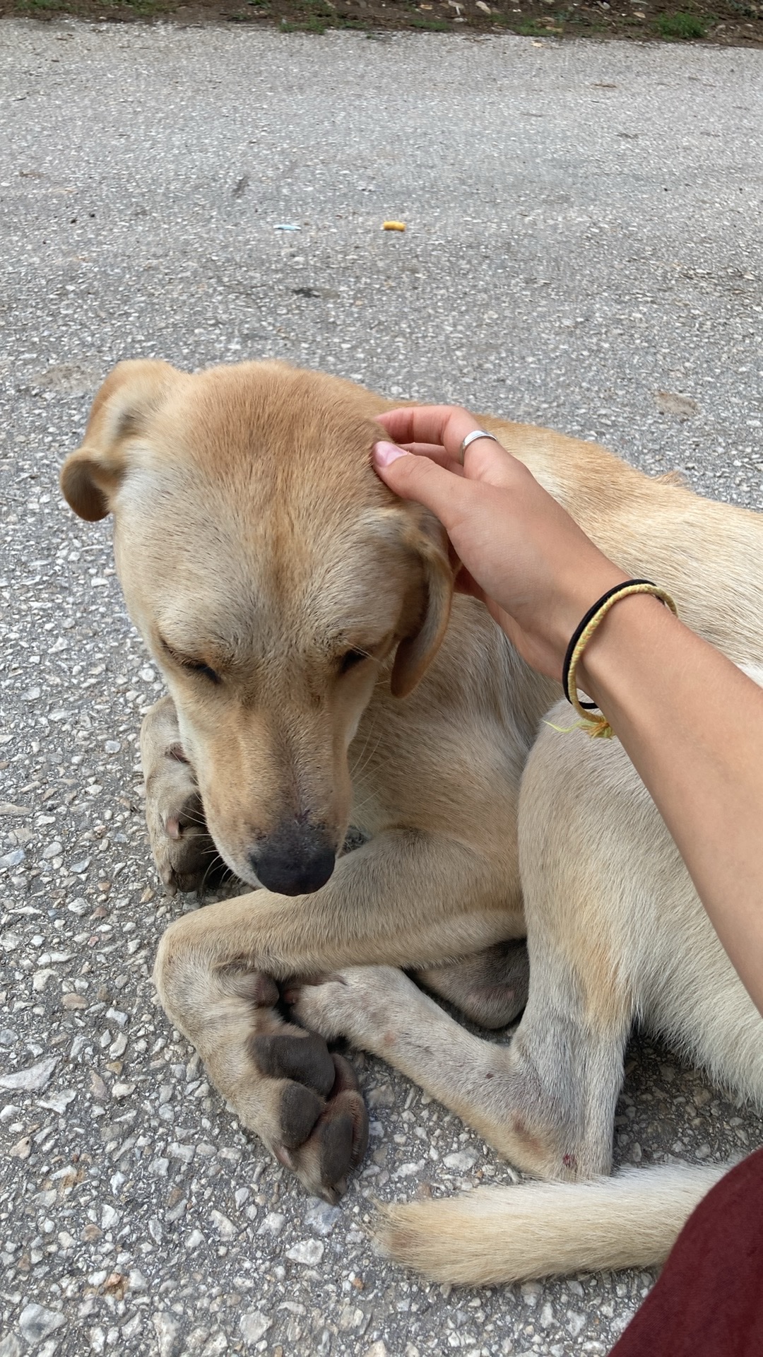 image-6