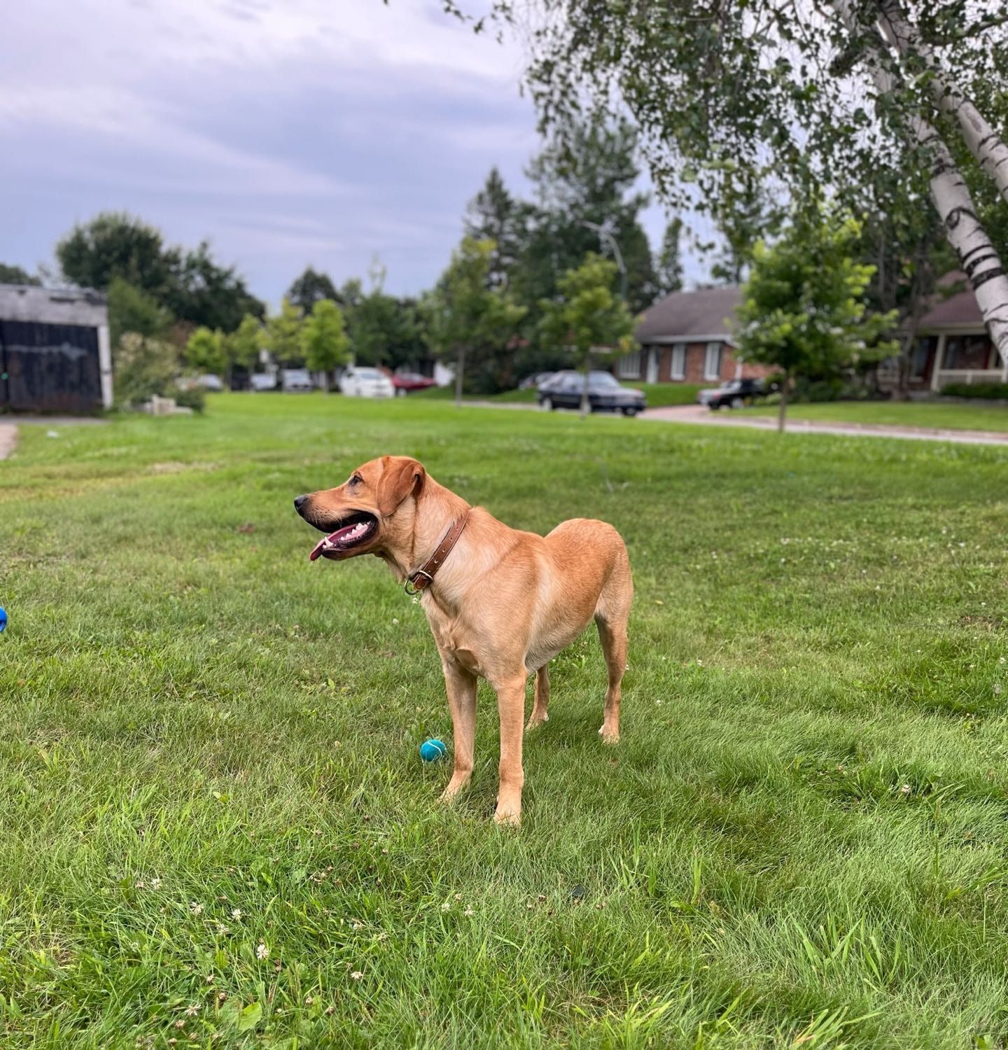 image-25