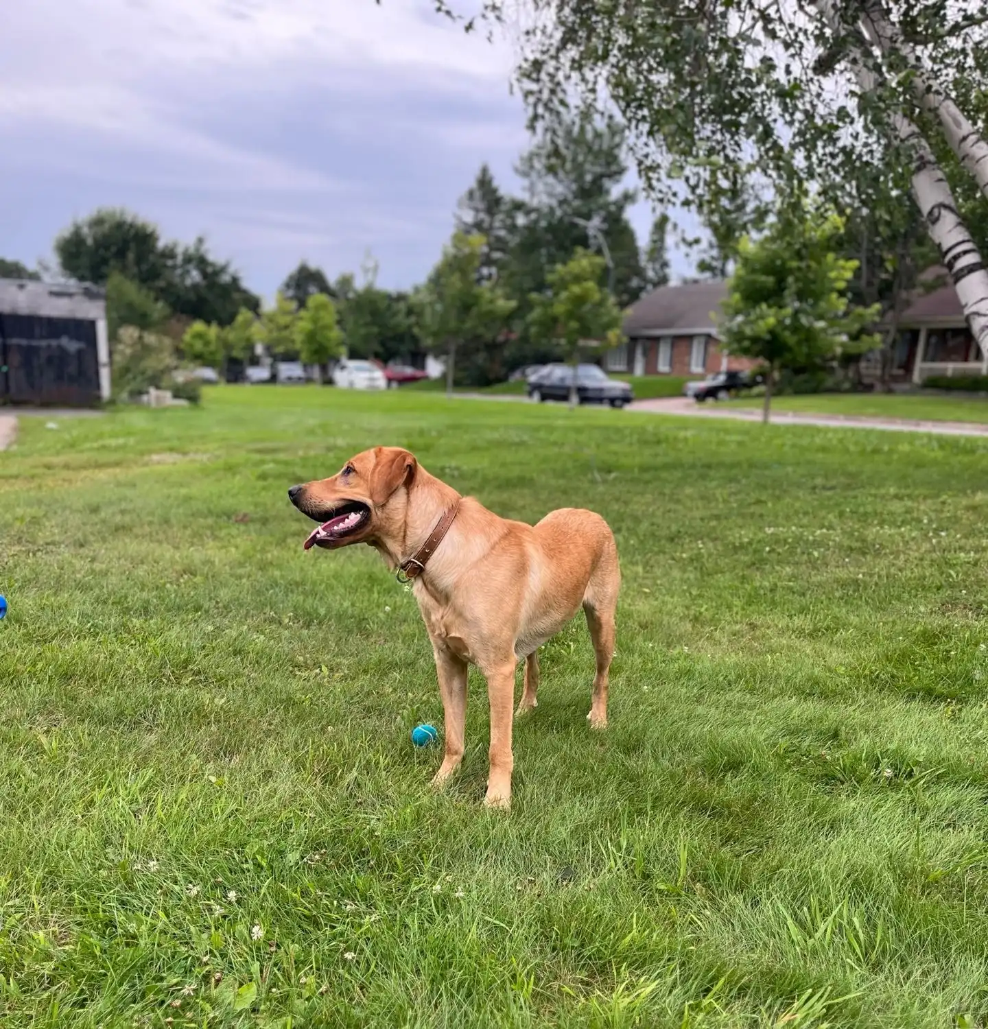image-25