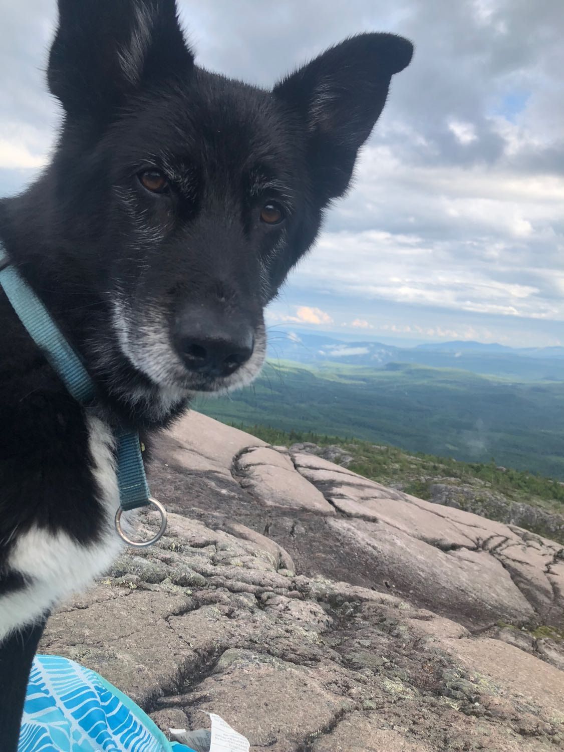 image-10