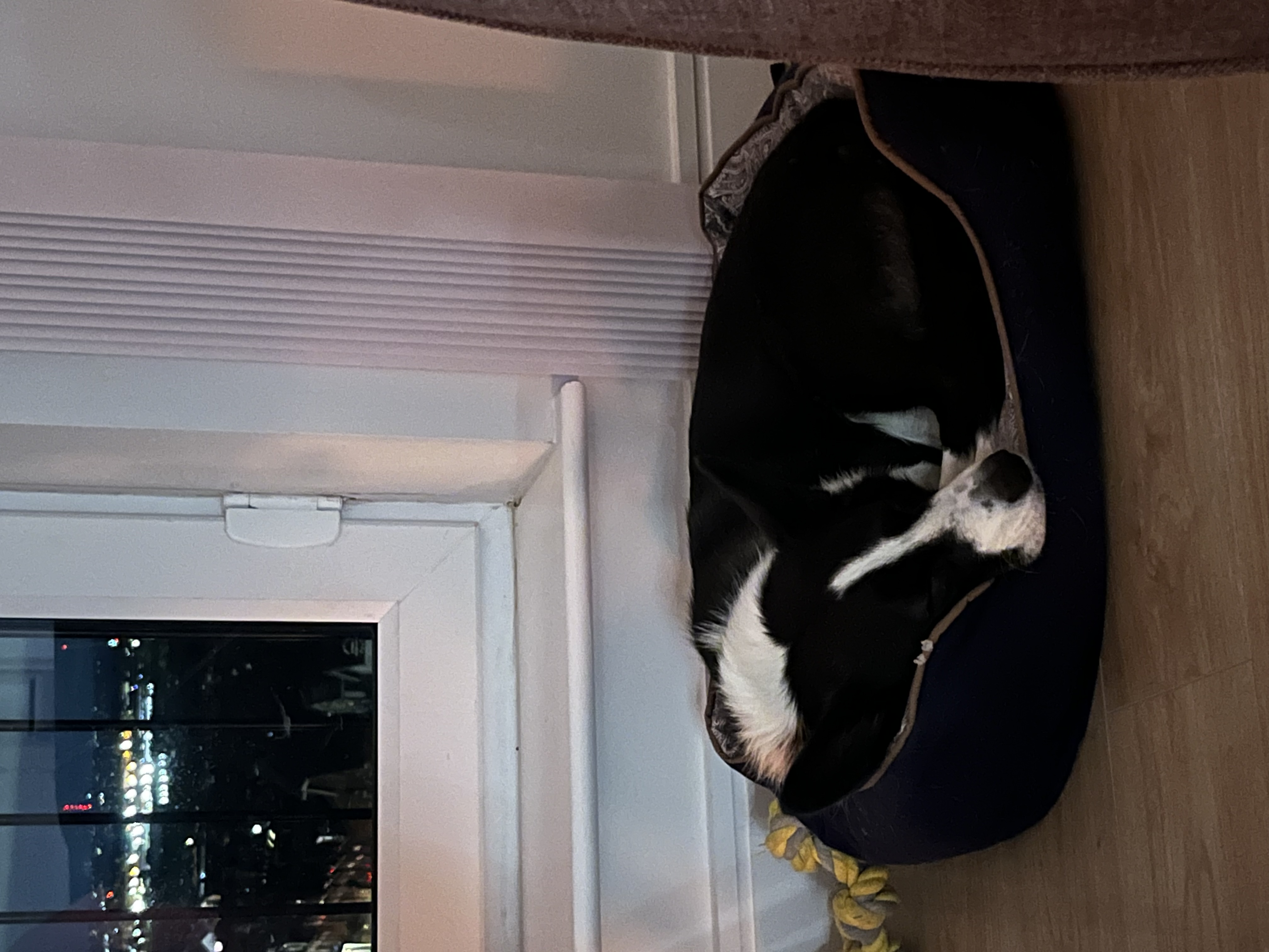 image-7