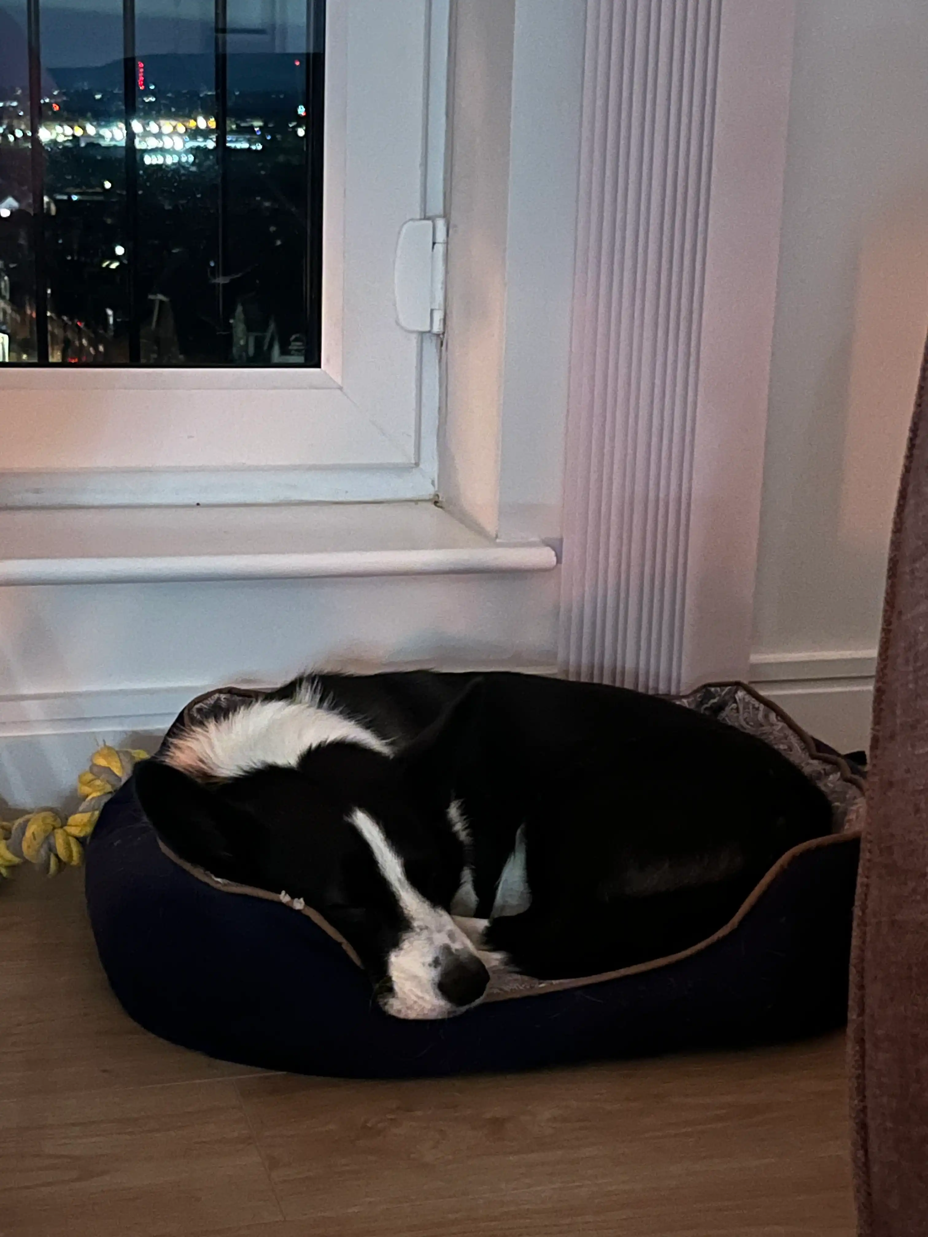 image-7