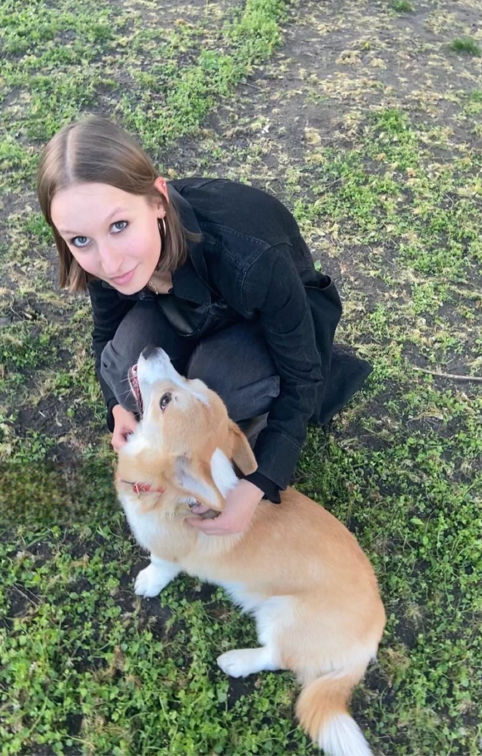 image-6