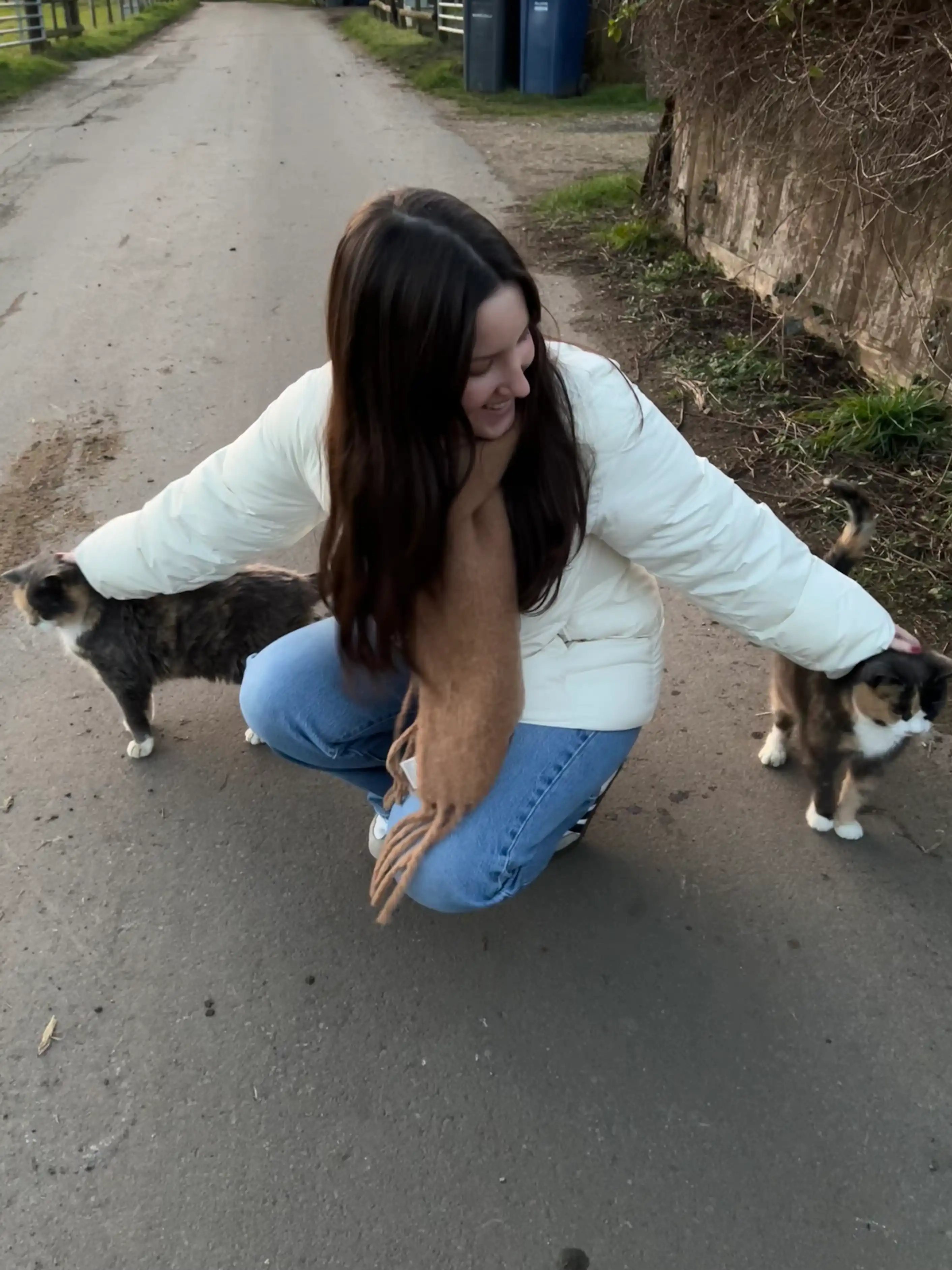 image-7