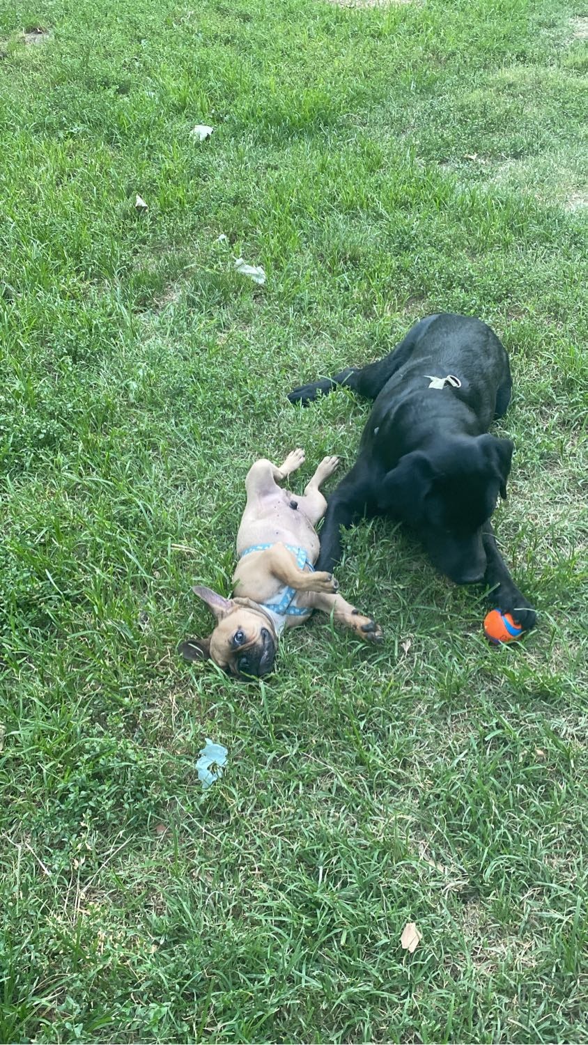 image-8
