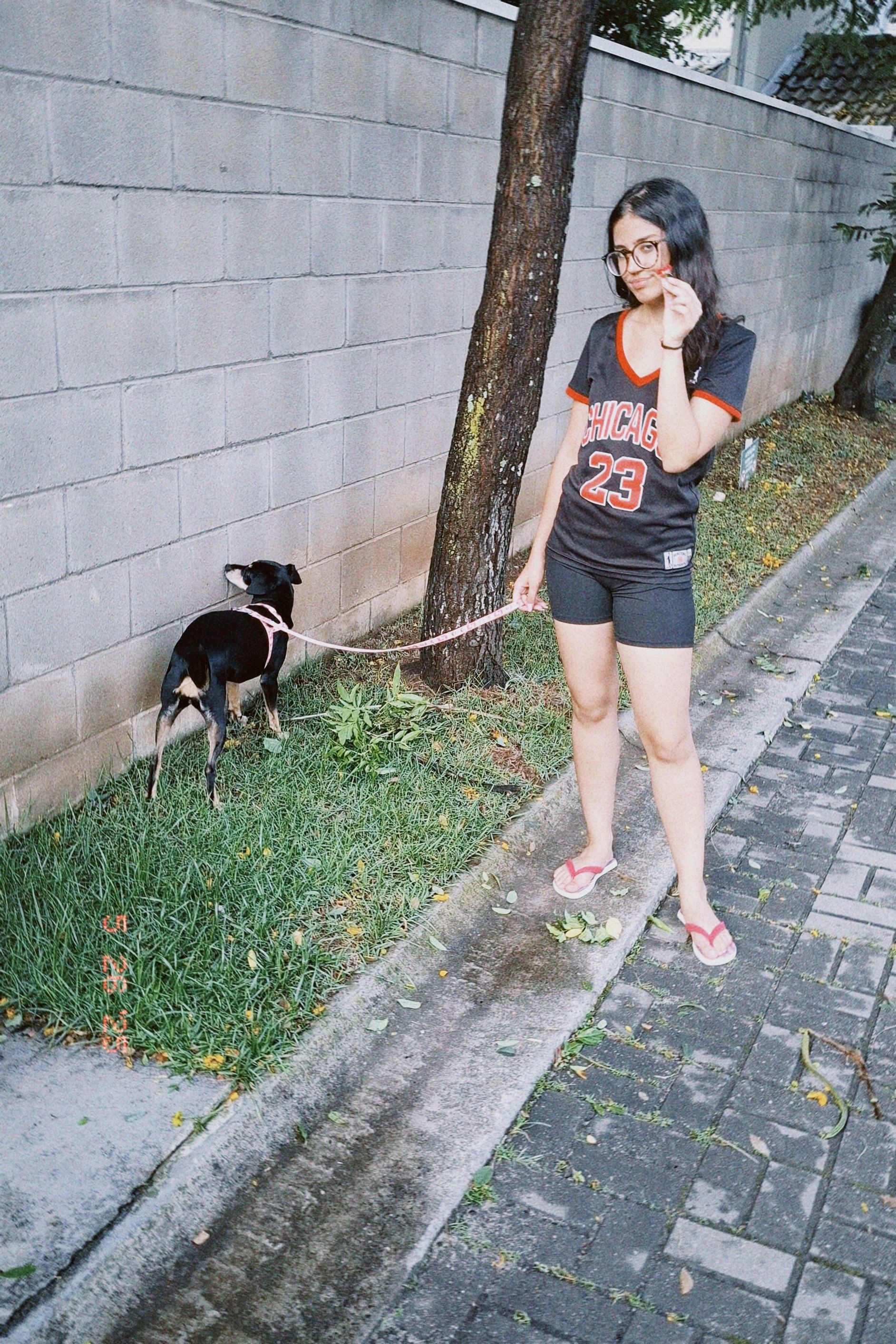 image-3