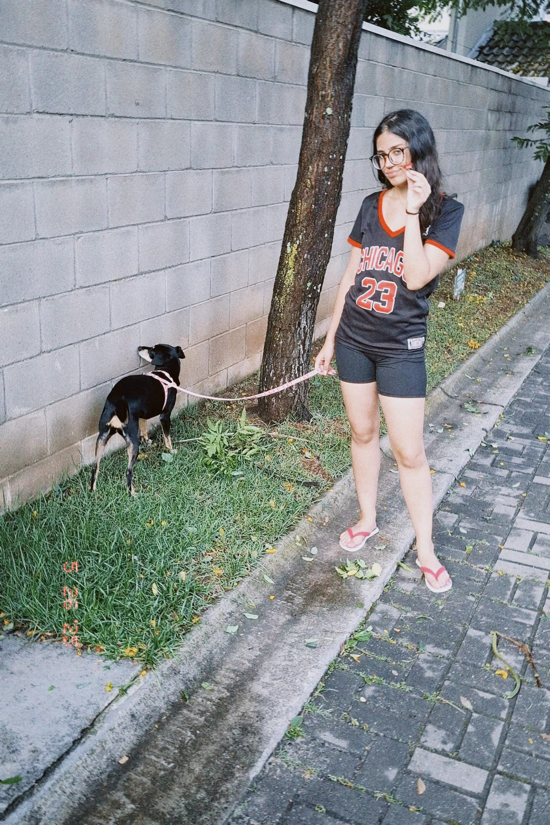 image-3