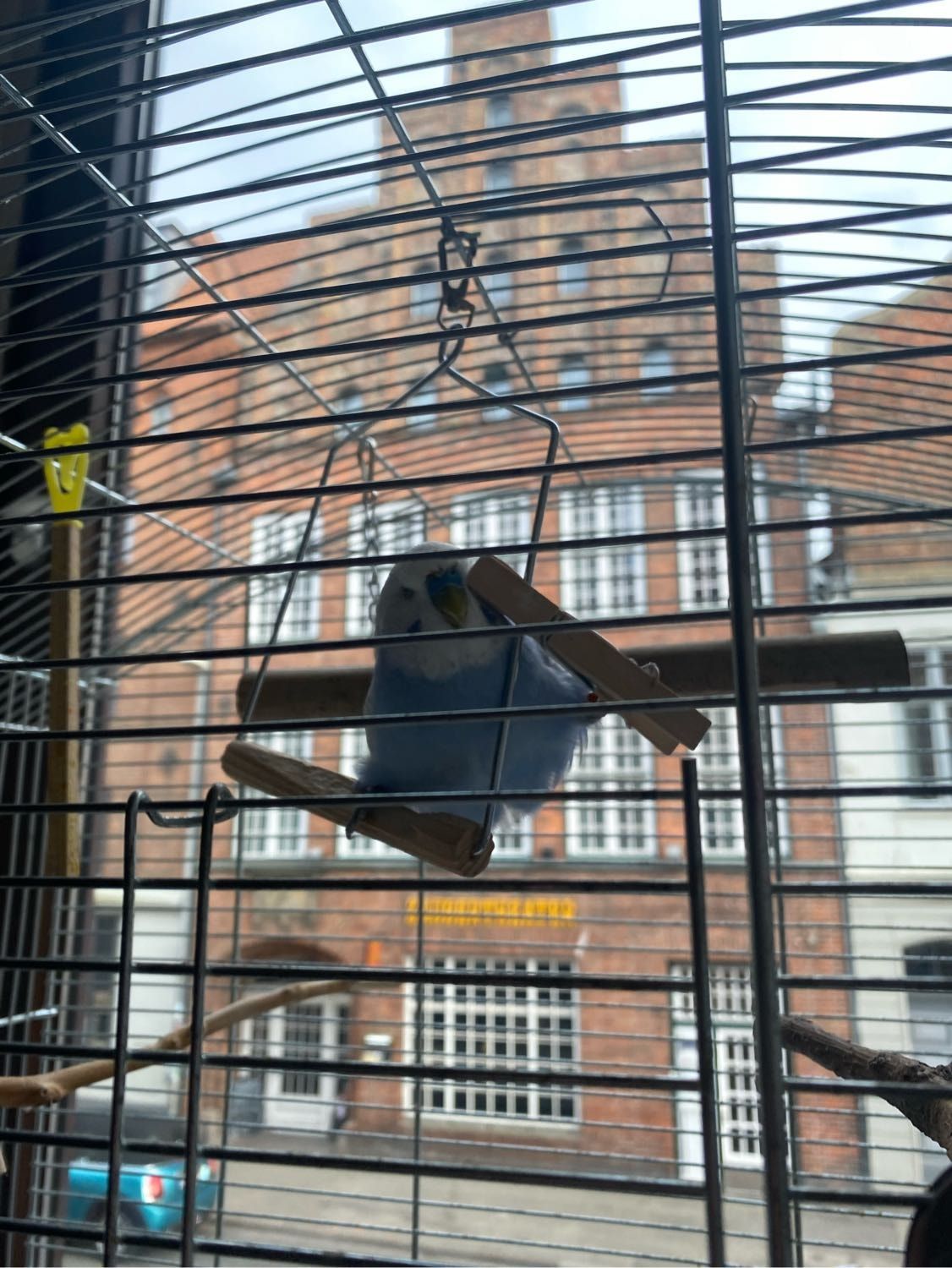 image-4