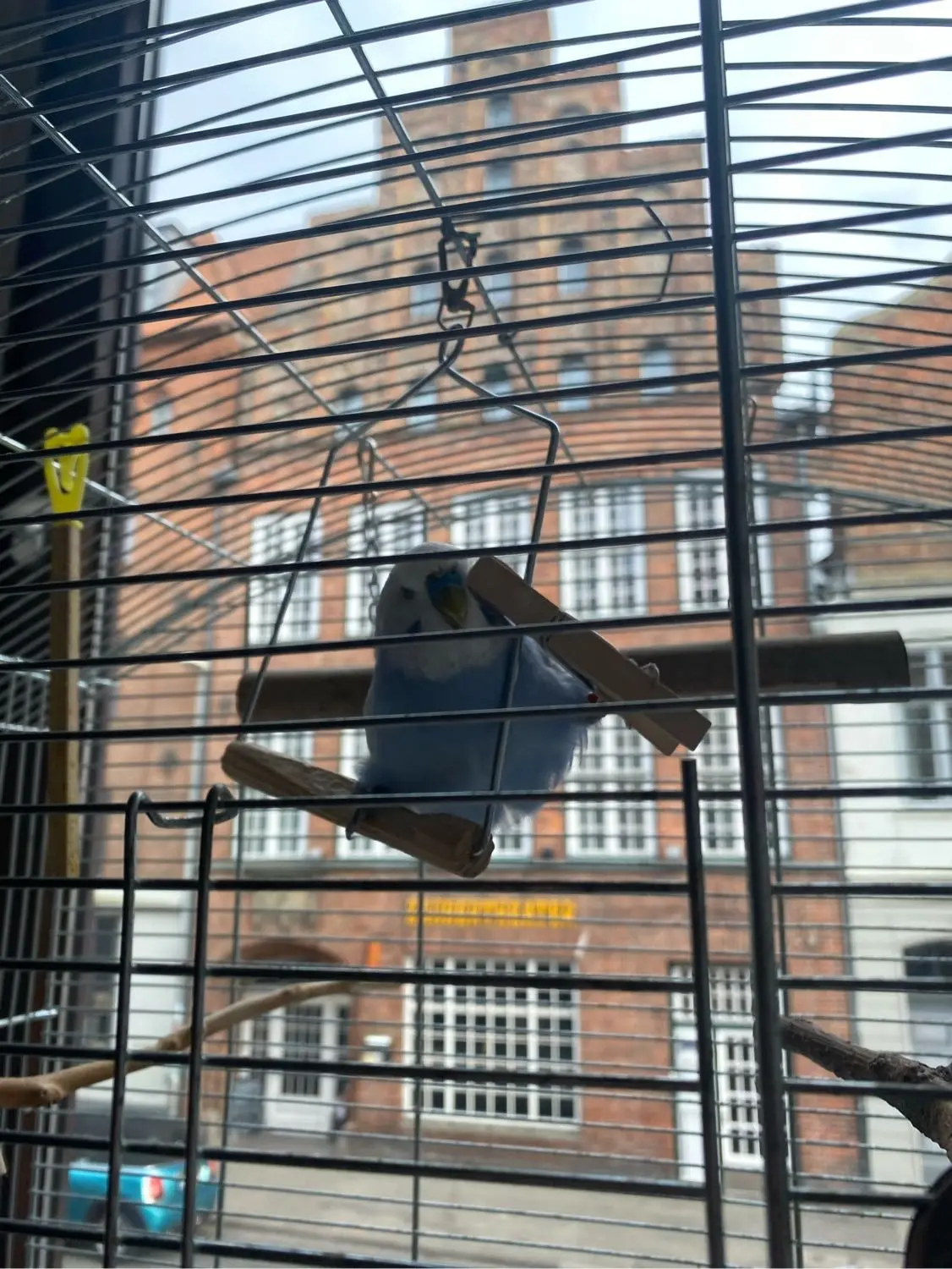 image-4