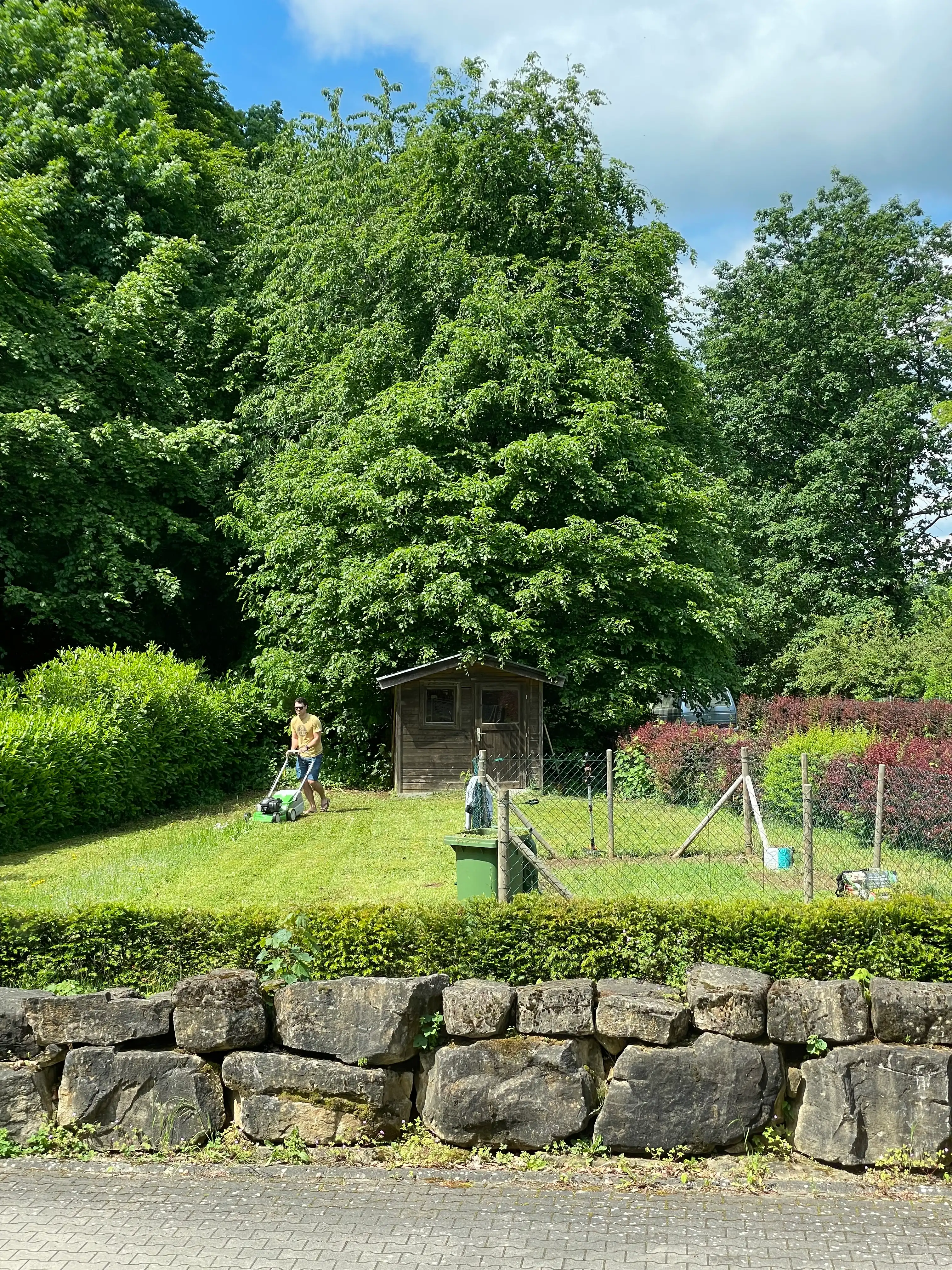 image-19