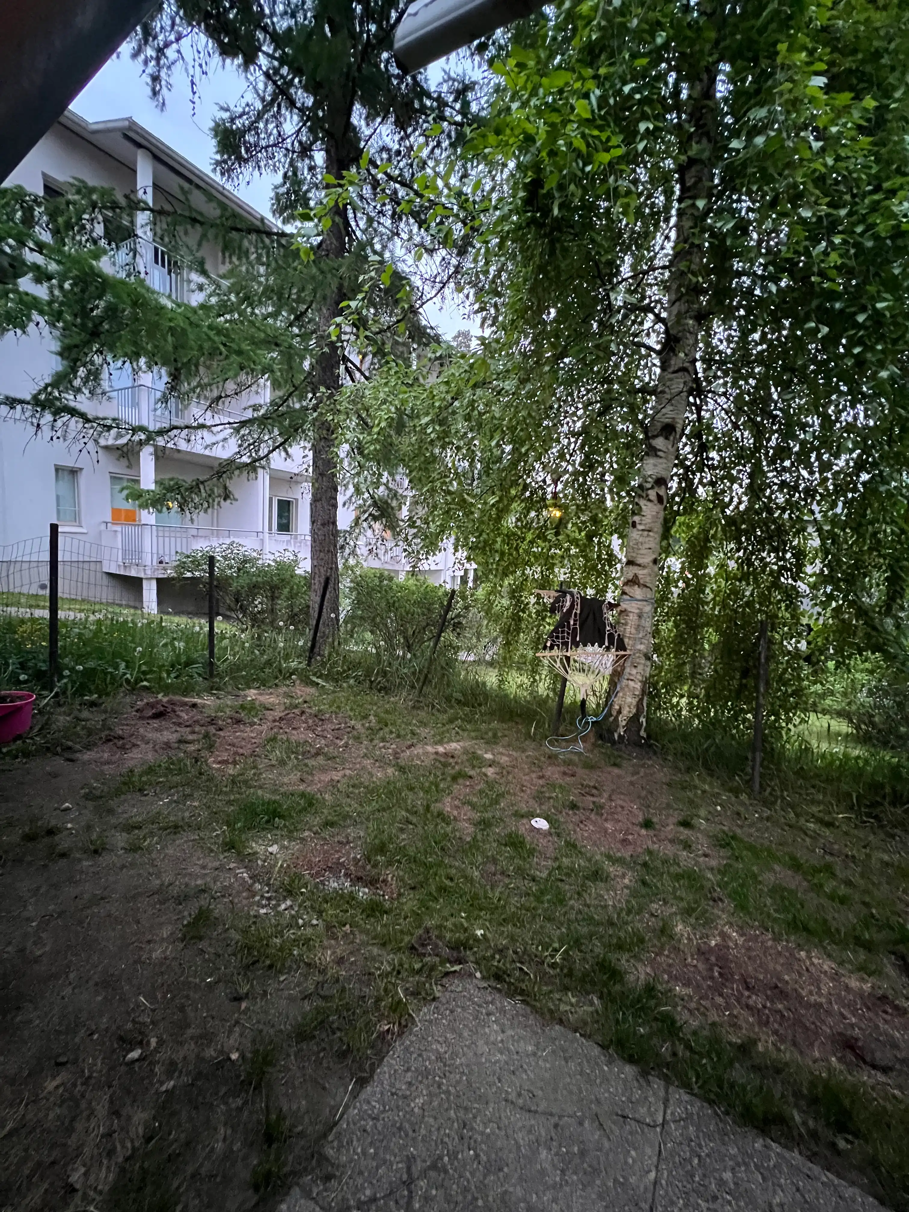 image-24