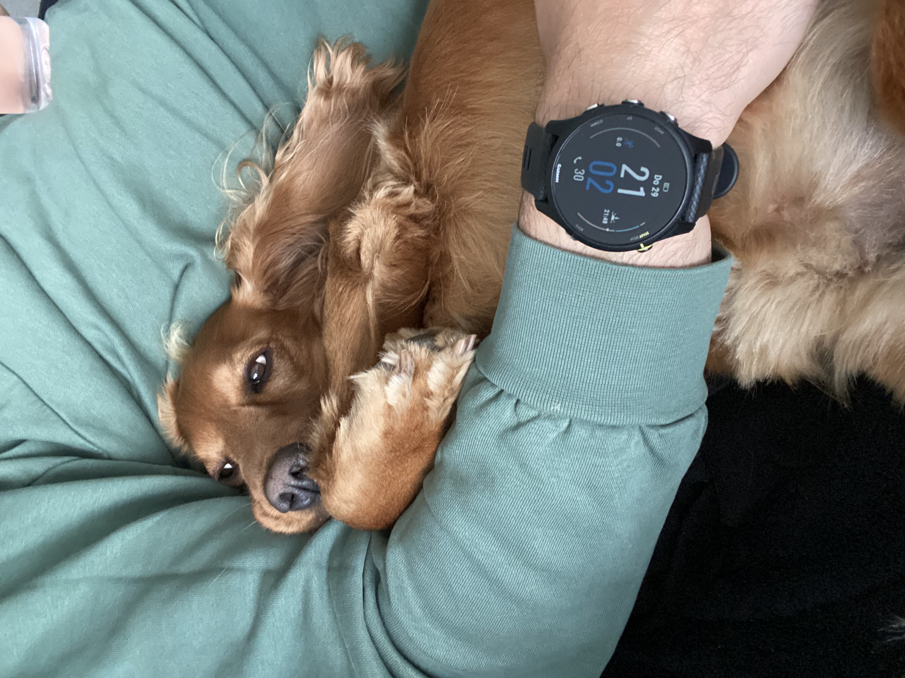 image-6