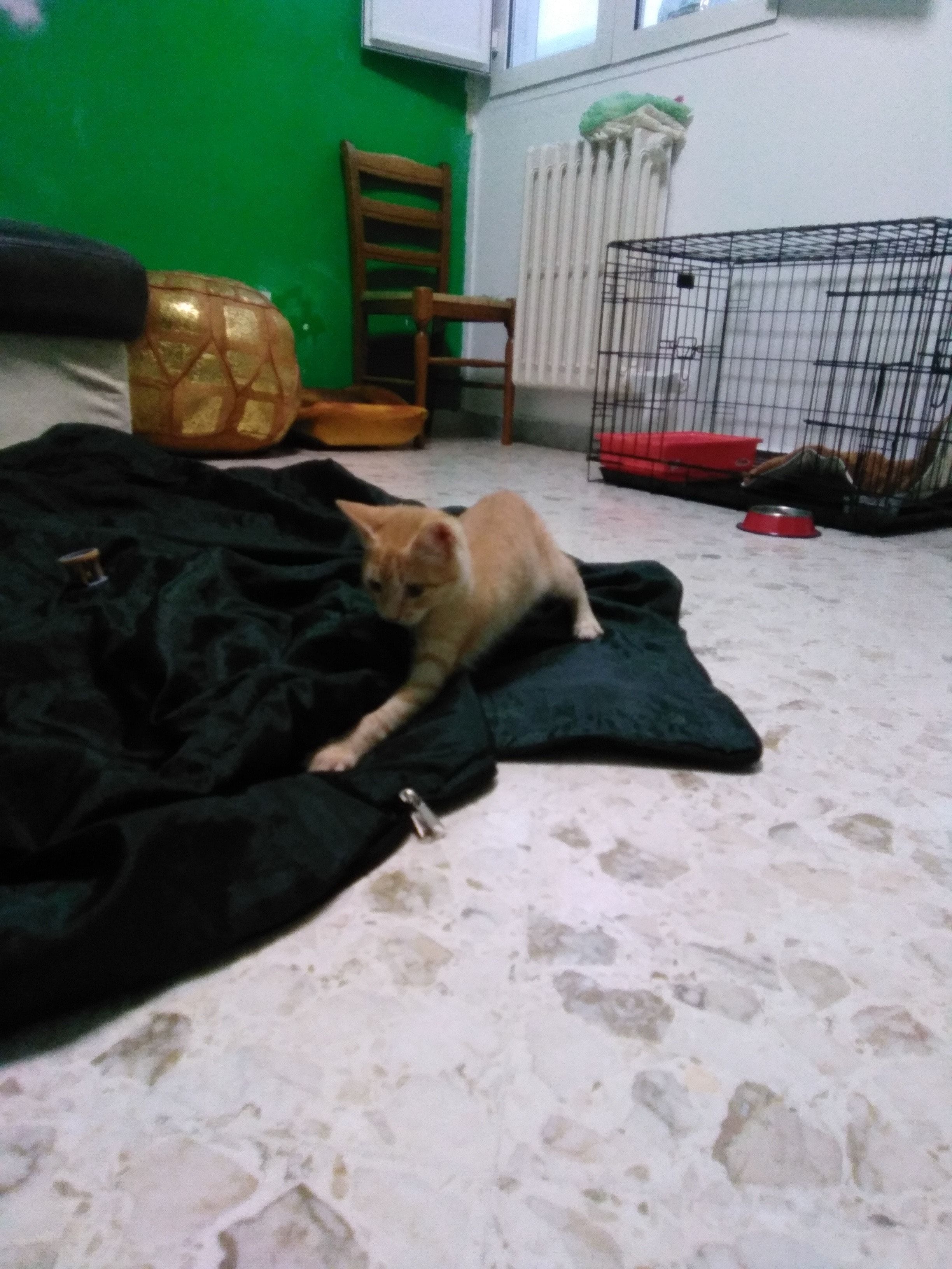 image-22