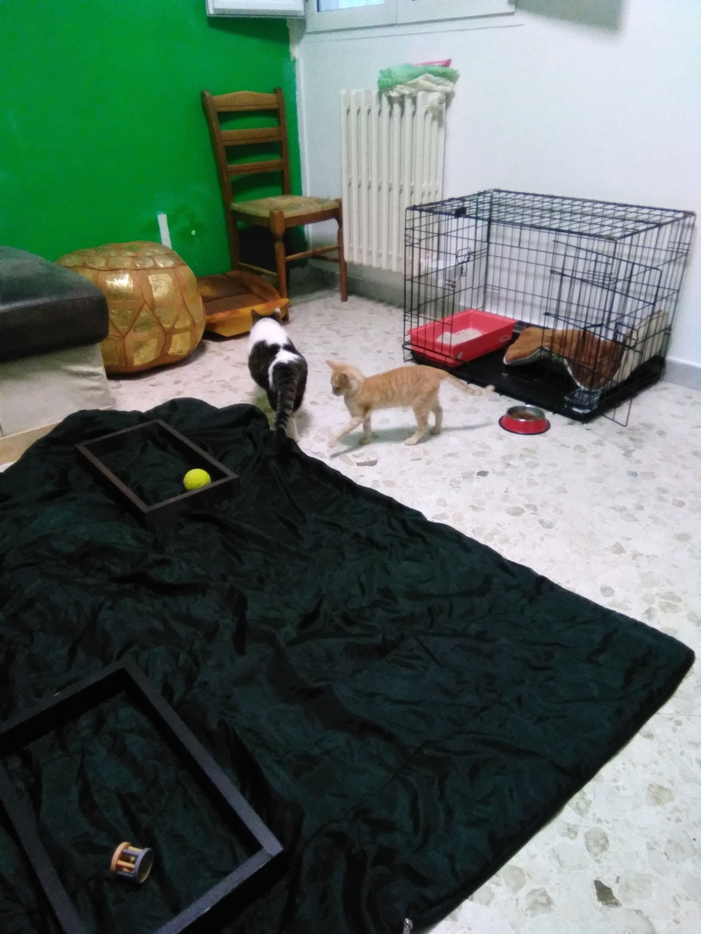 image-29