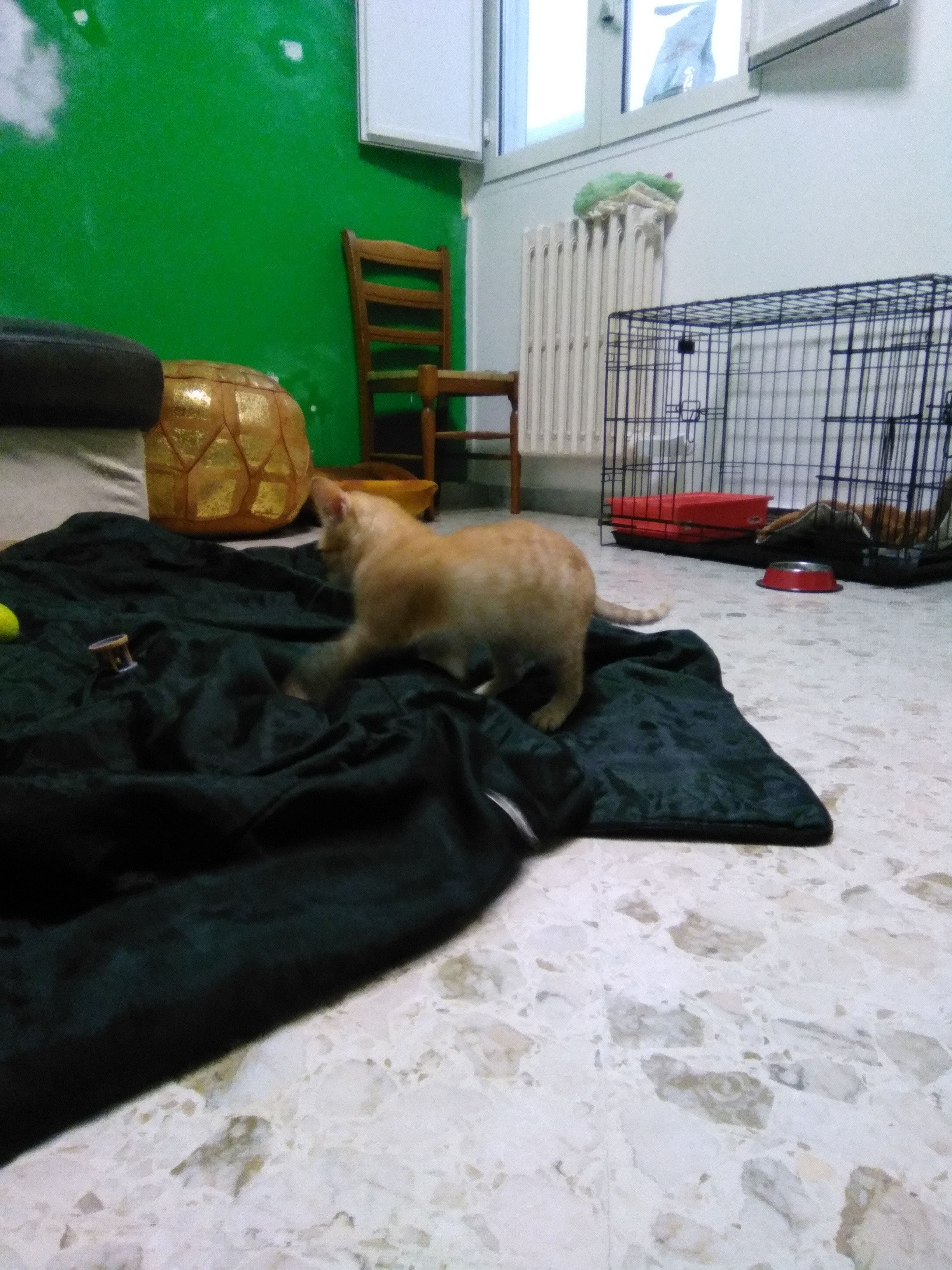 image-26