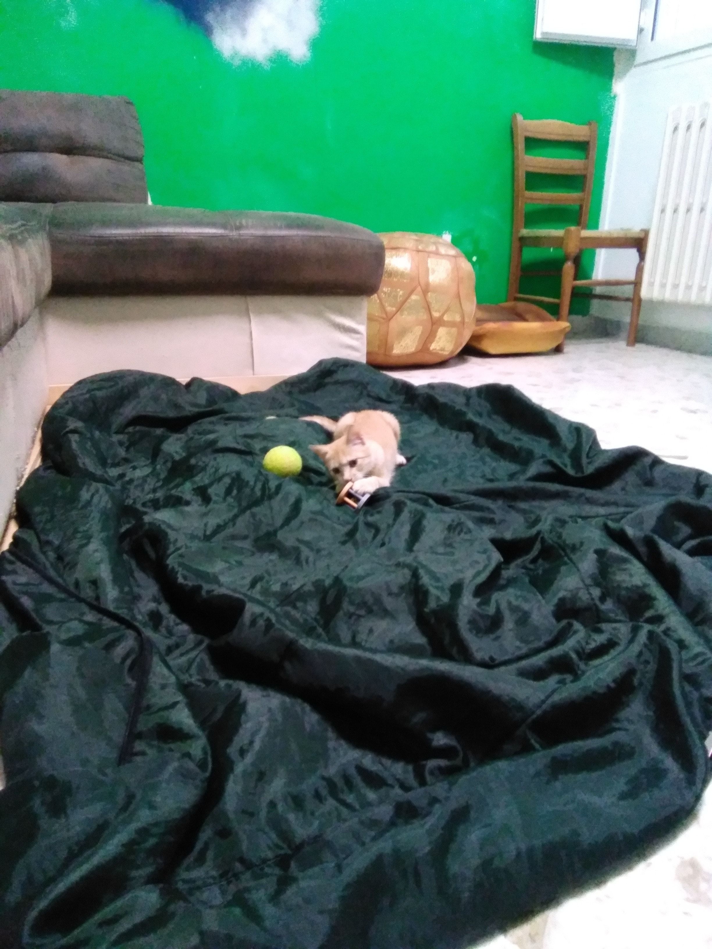 image-27