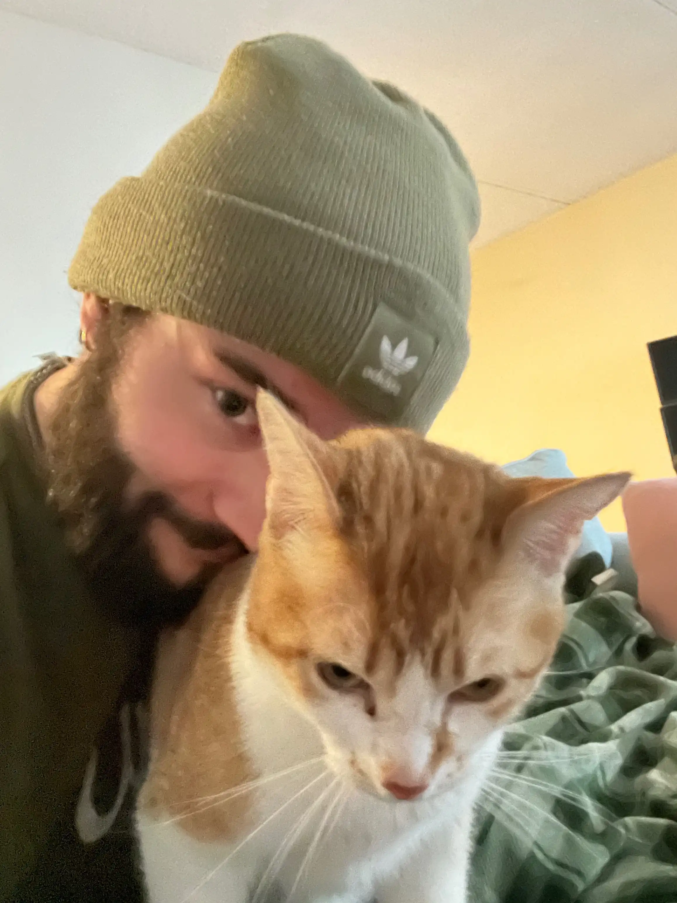 image-6