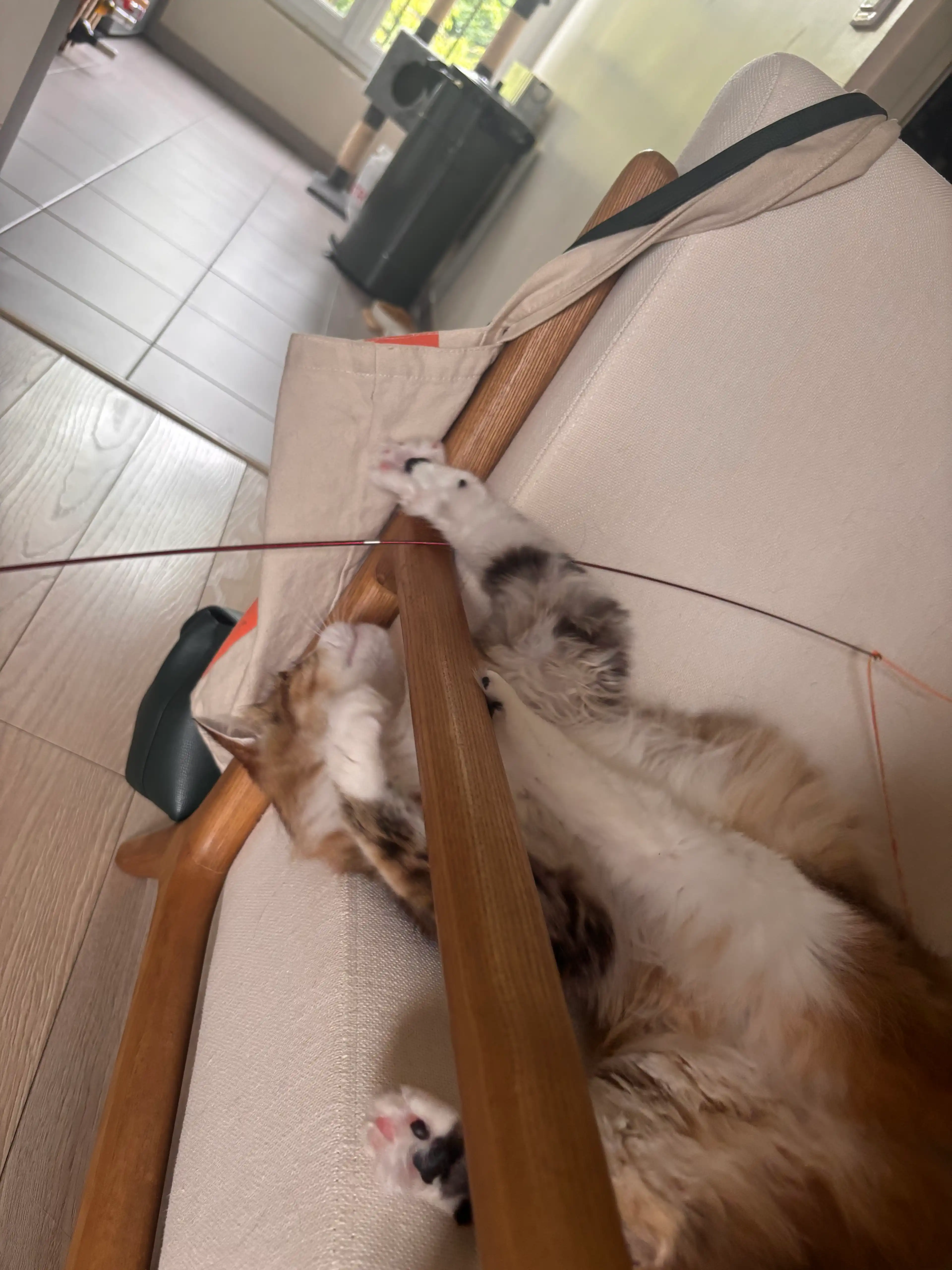 image-6