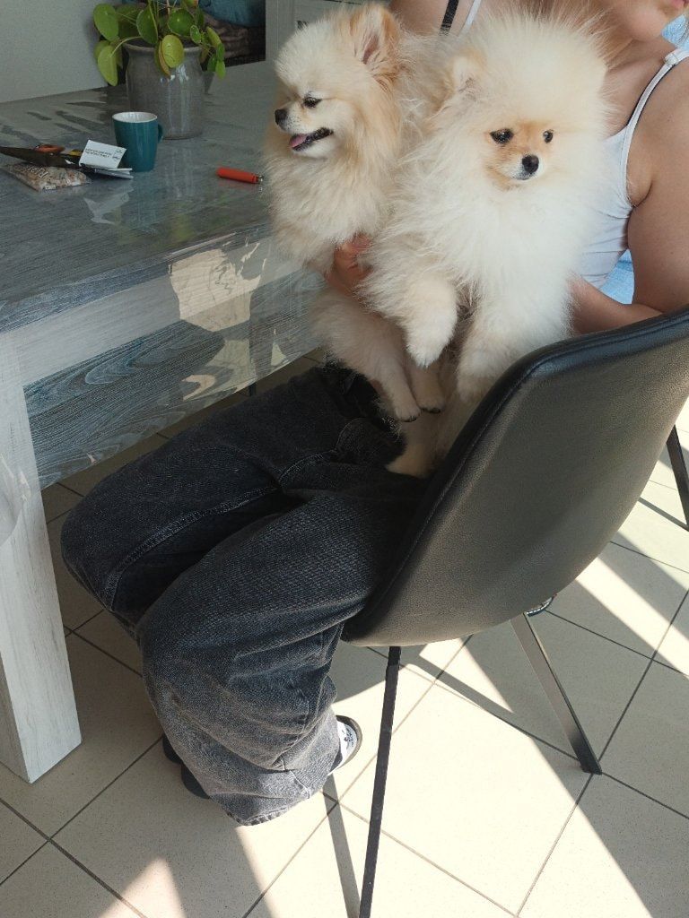 image-48