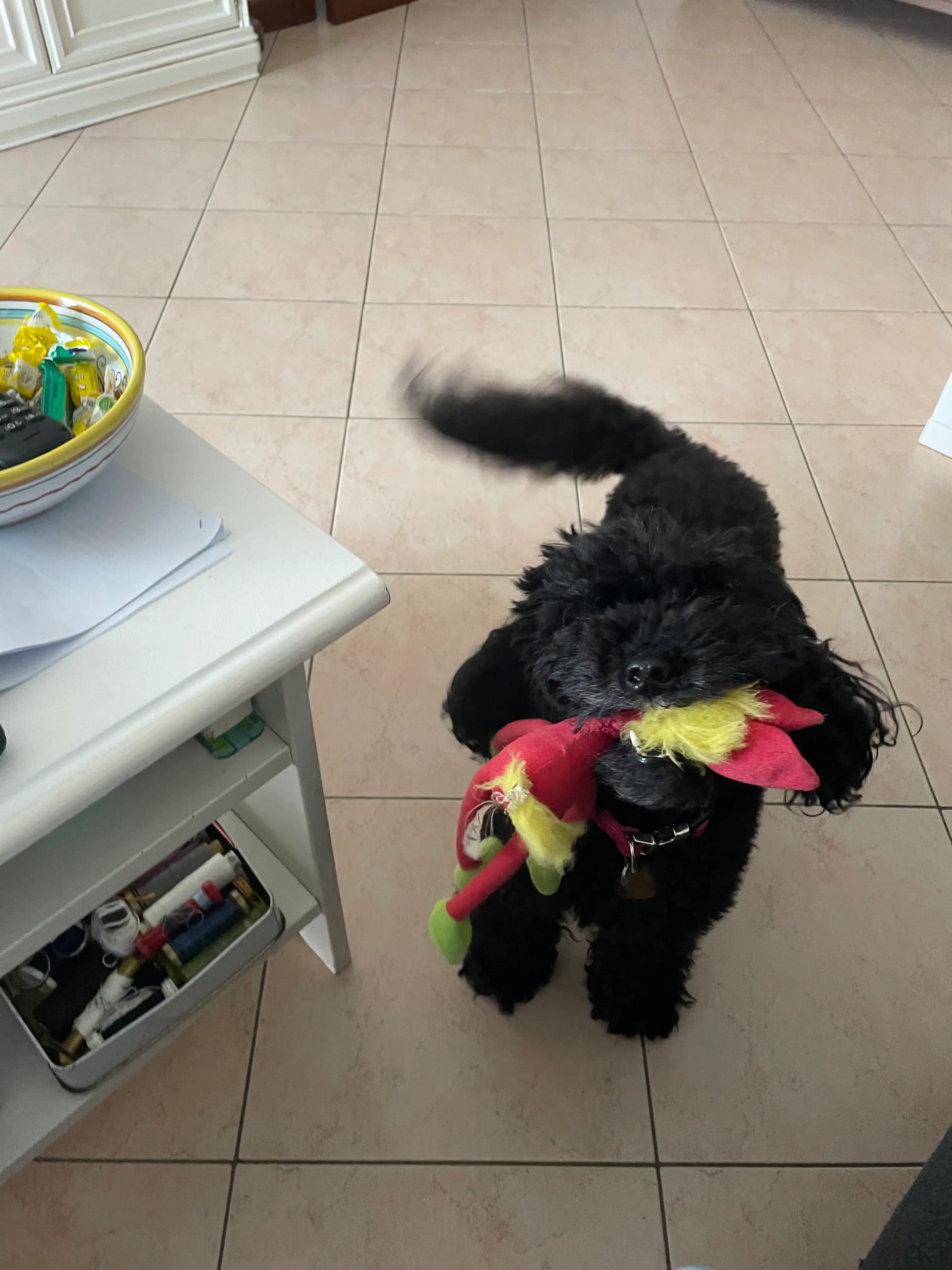 image-9