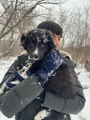 image-2