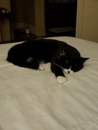 image-6