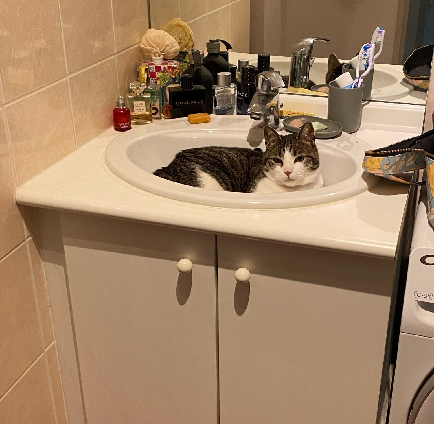 image-6