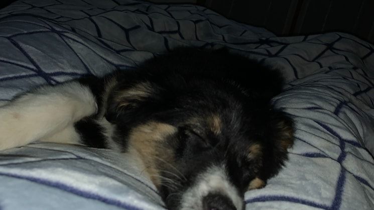 image-7