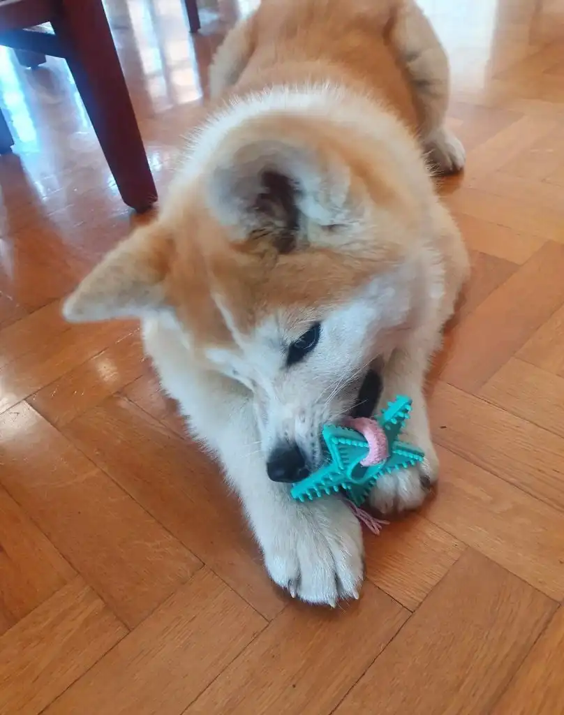 image-11