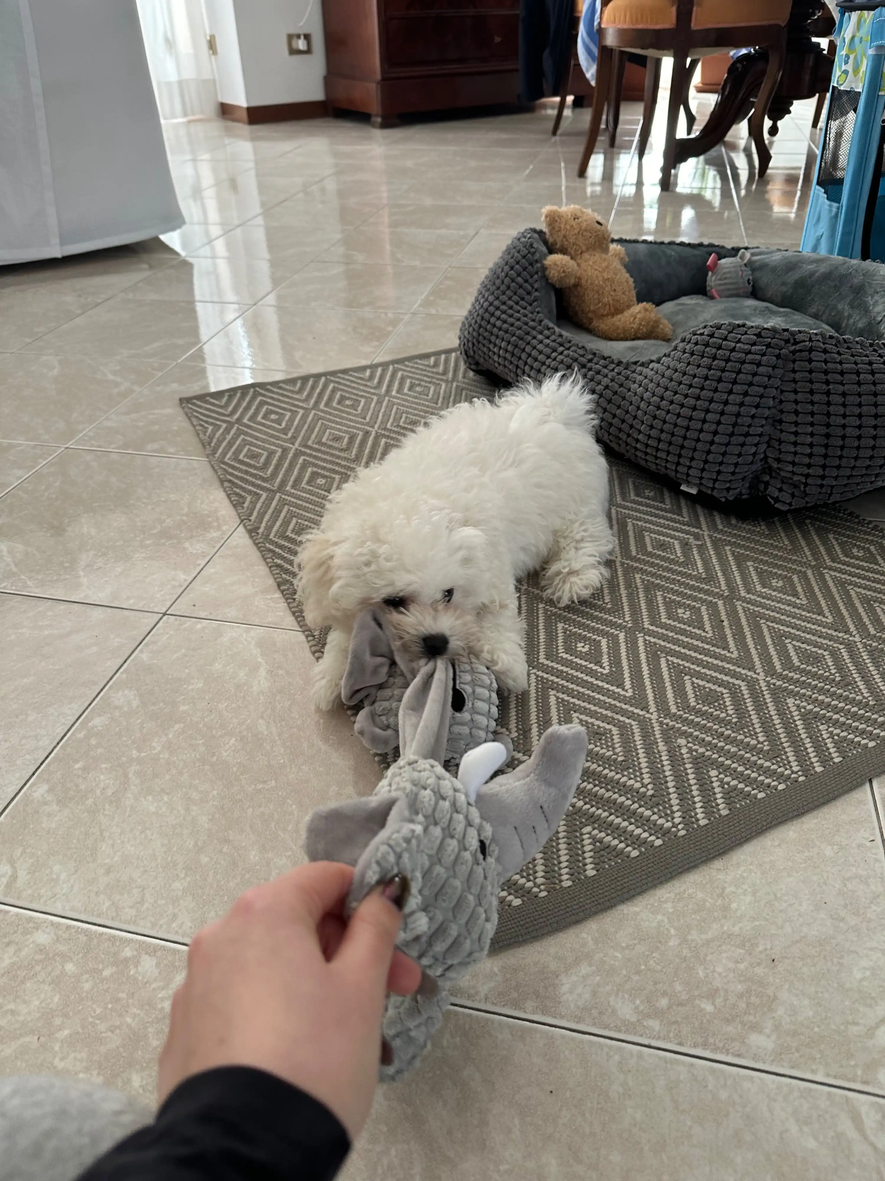 image-6