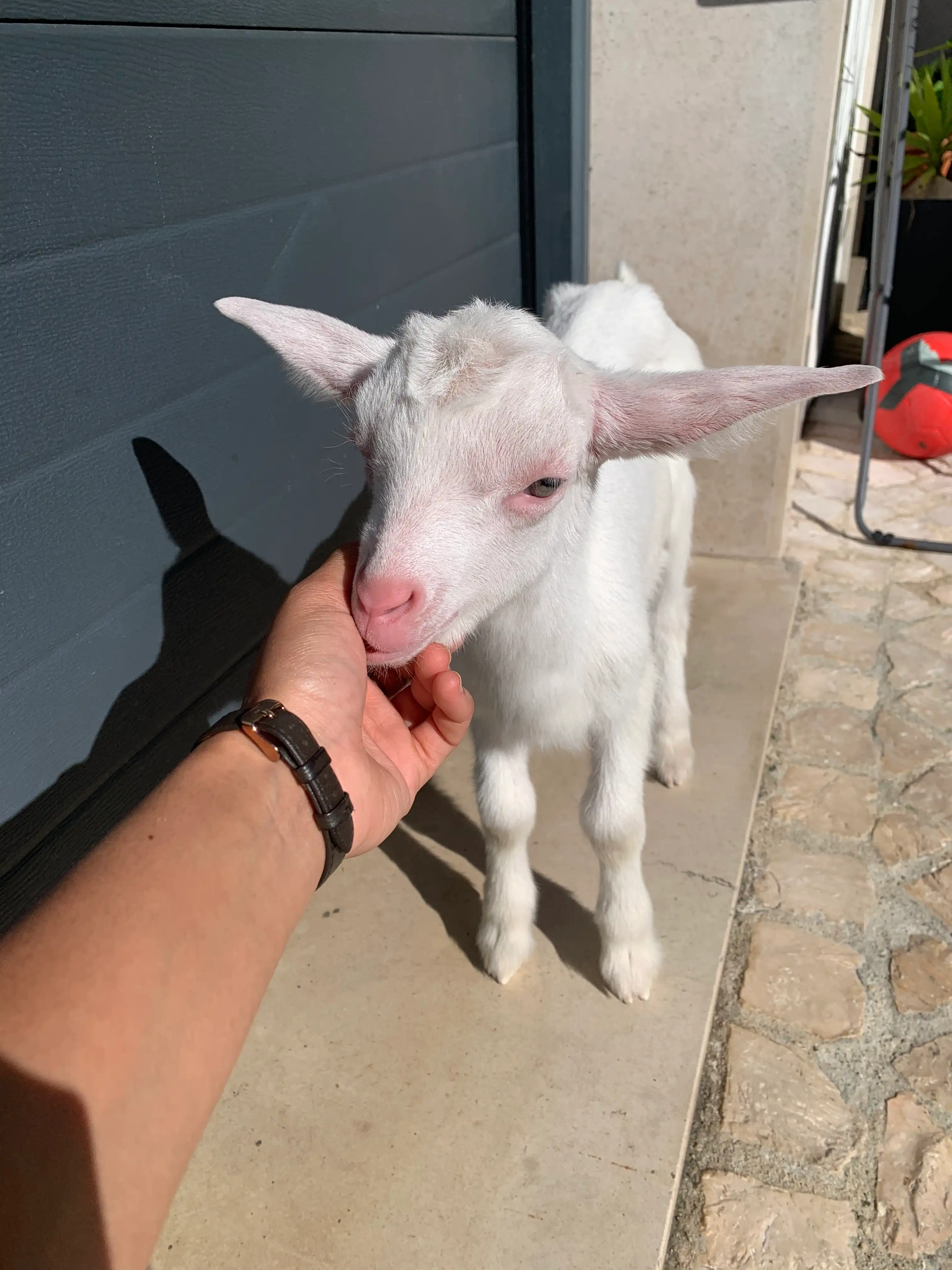 image-6