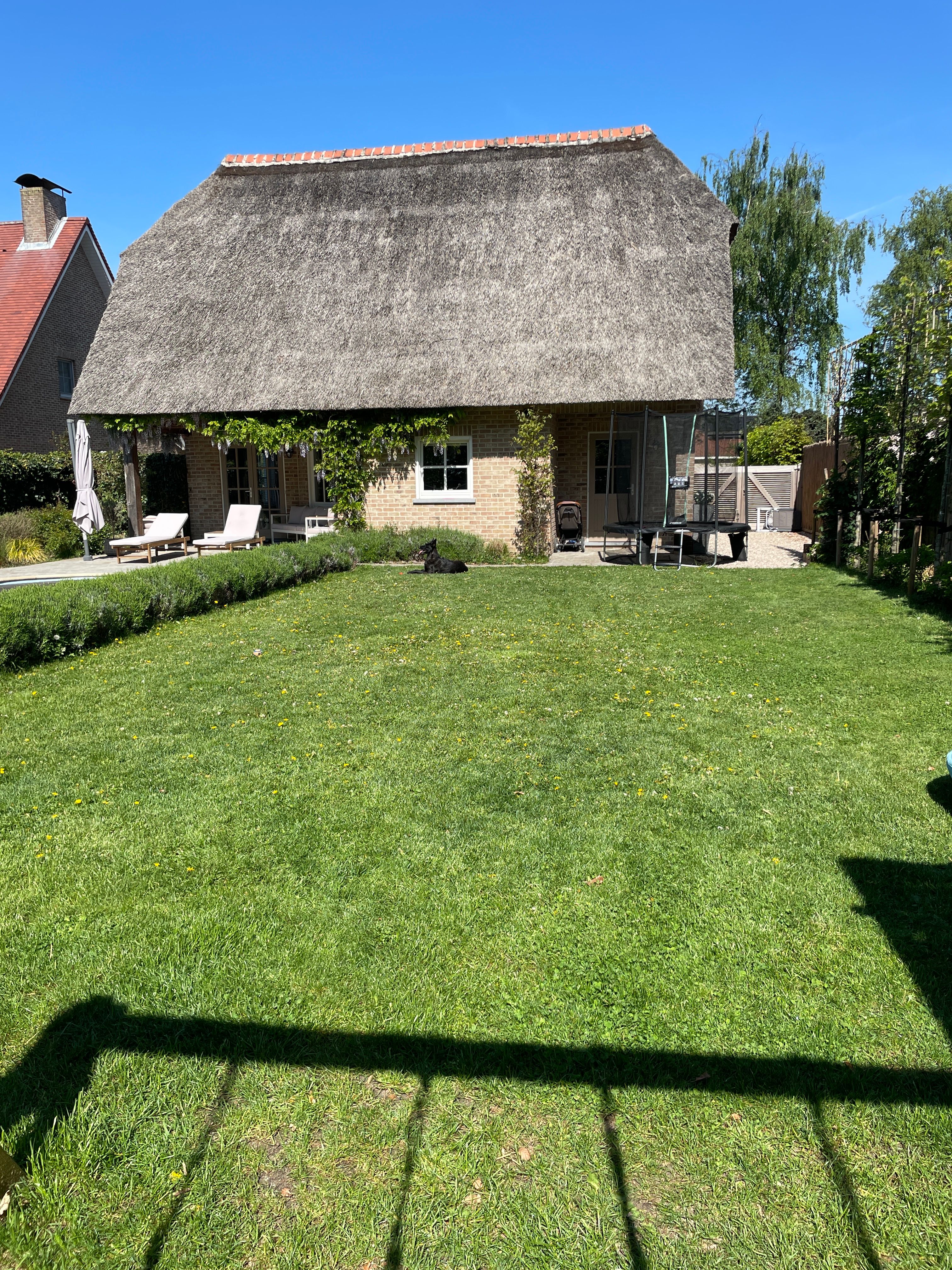 image-14
