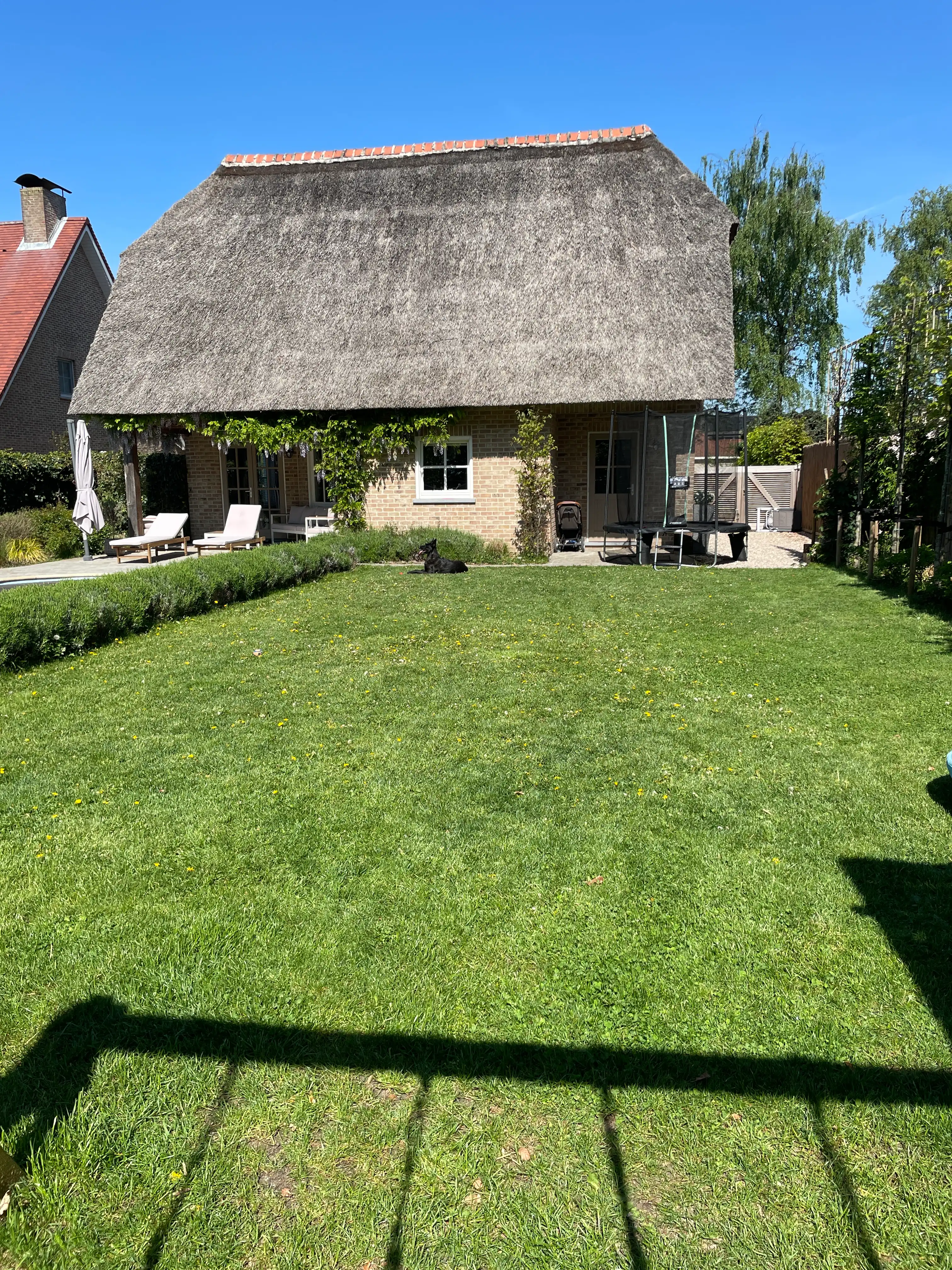 image-14