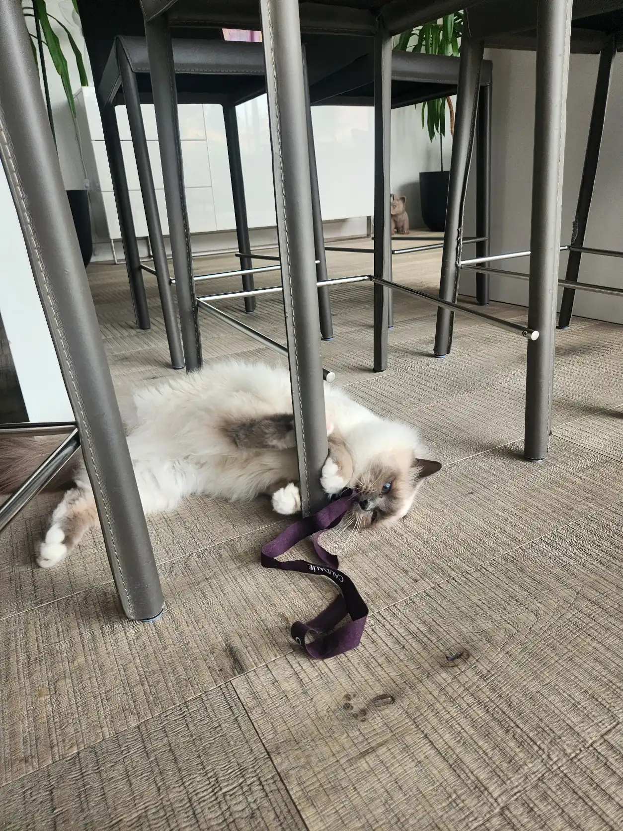 image-16