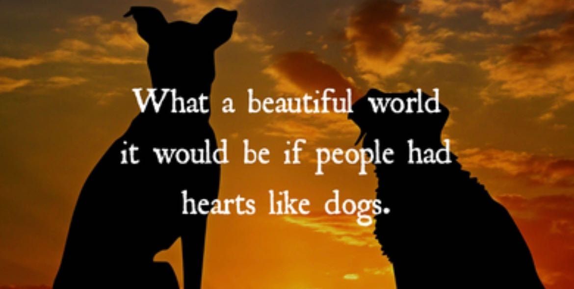 image-31