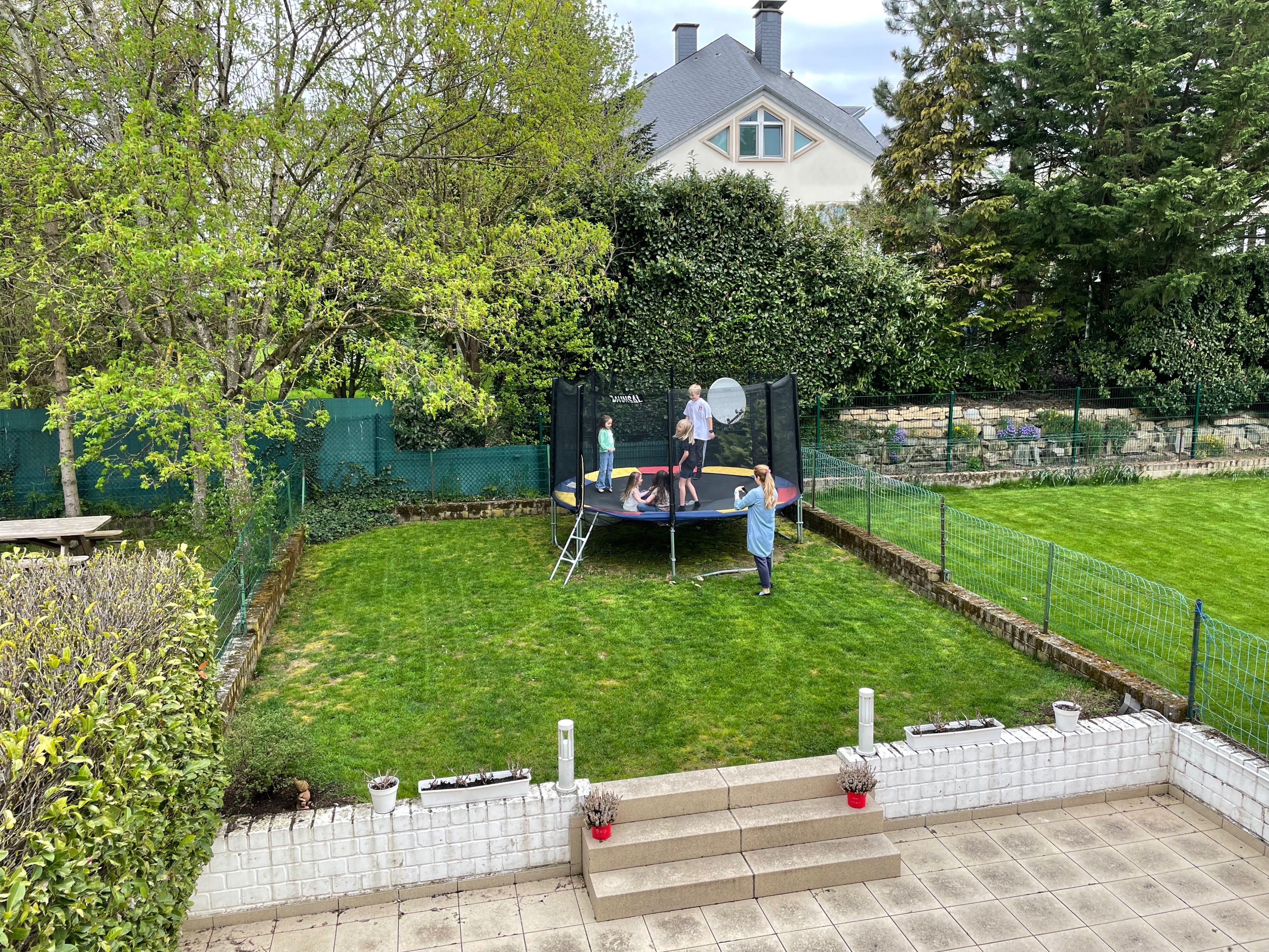 image-13