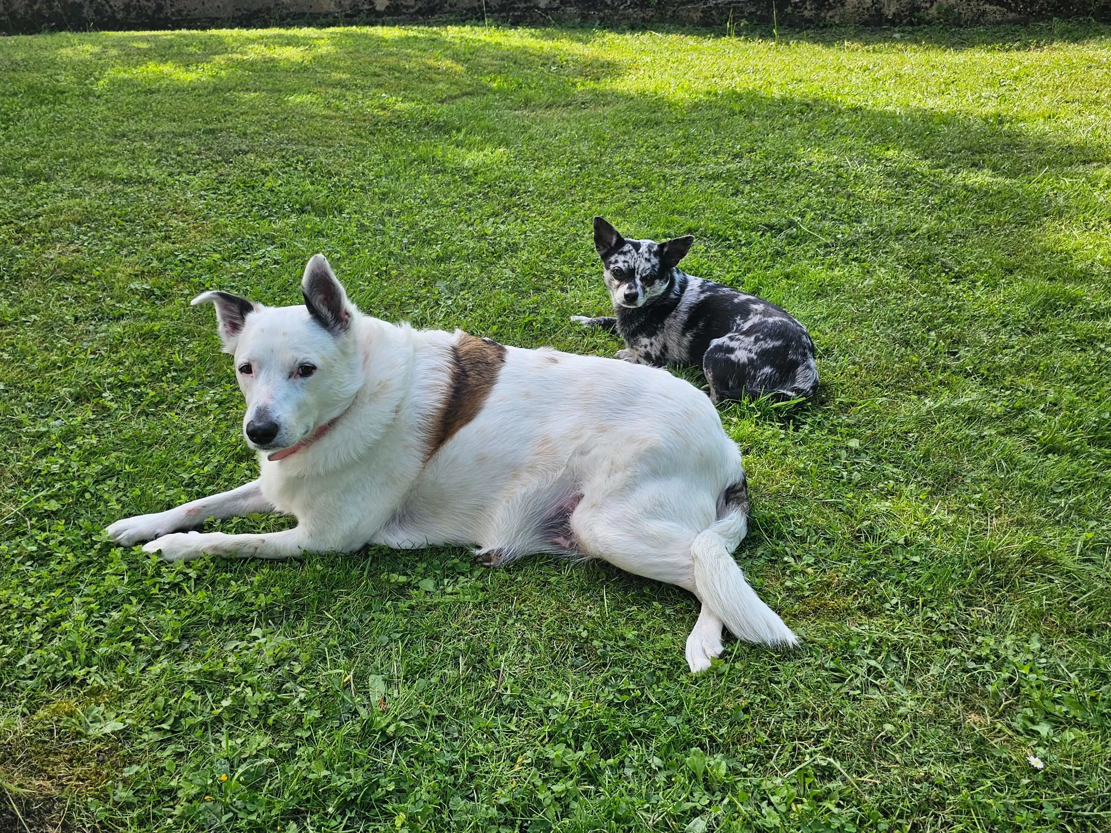 image-5