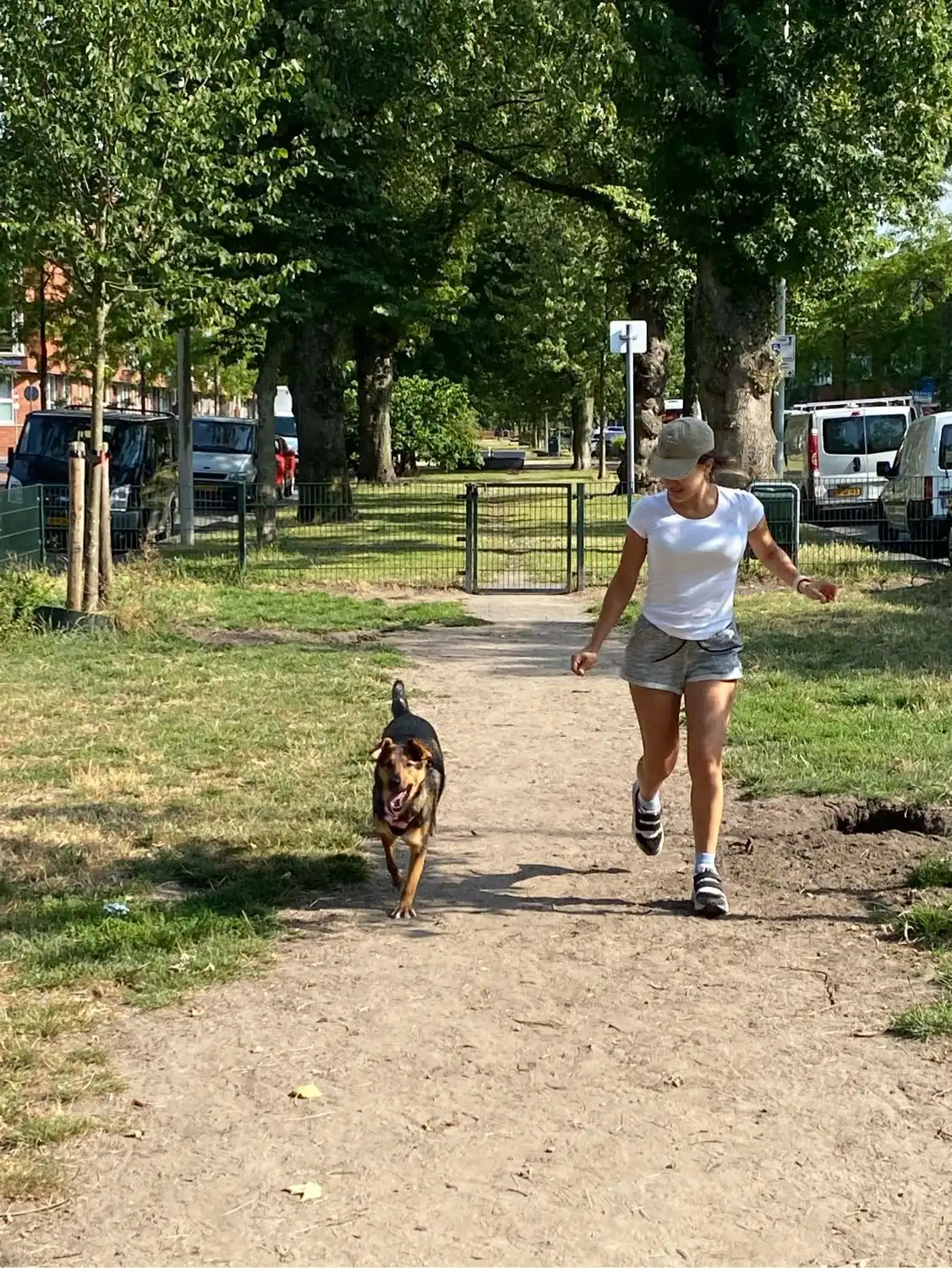 image-12