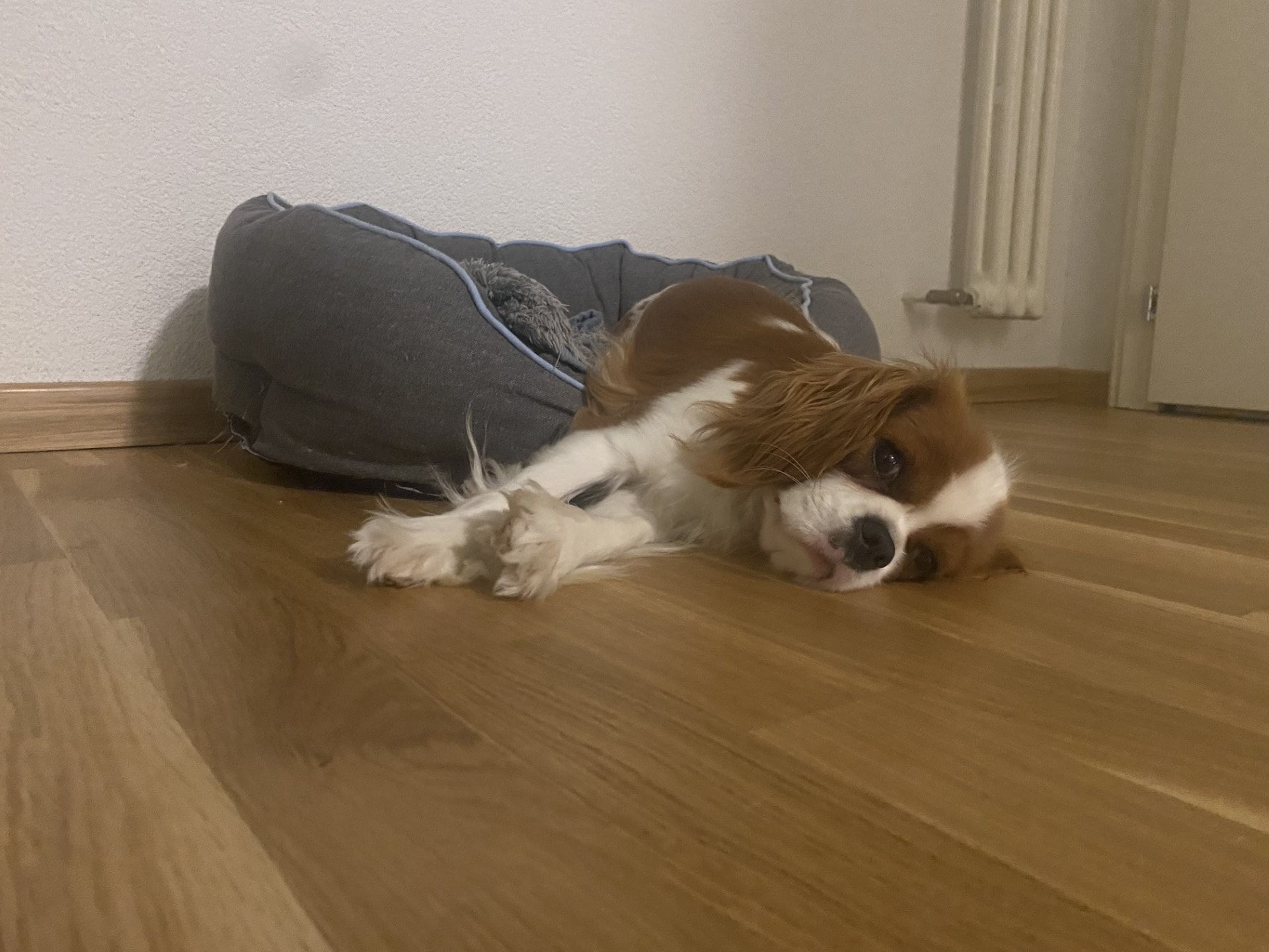 image-7
