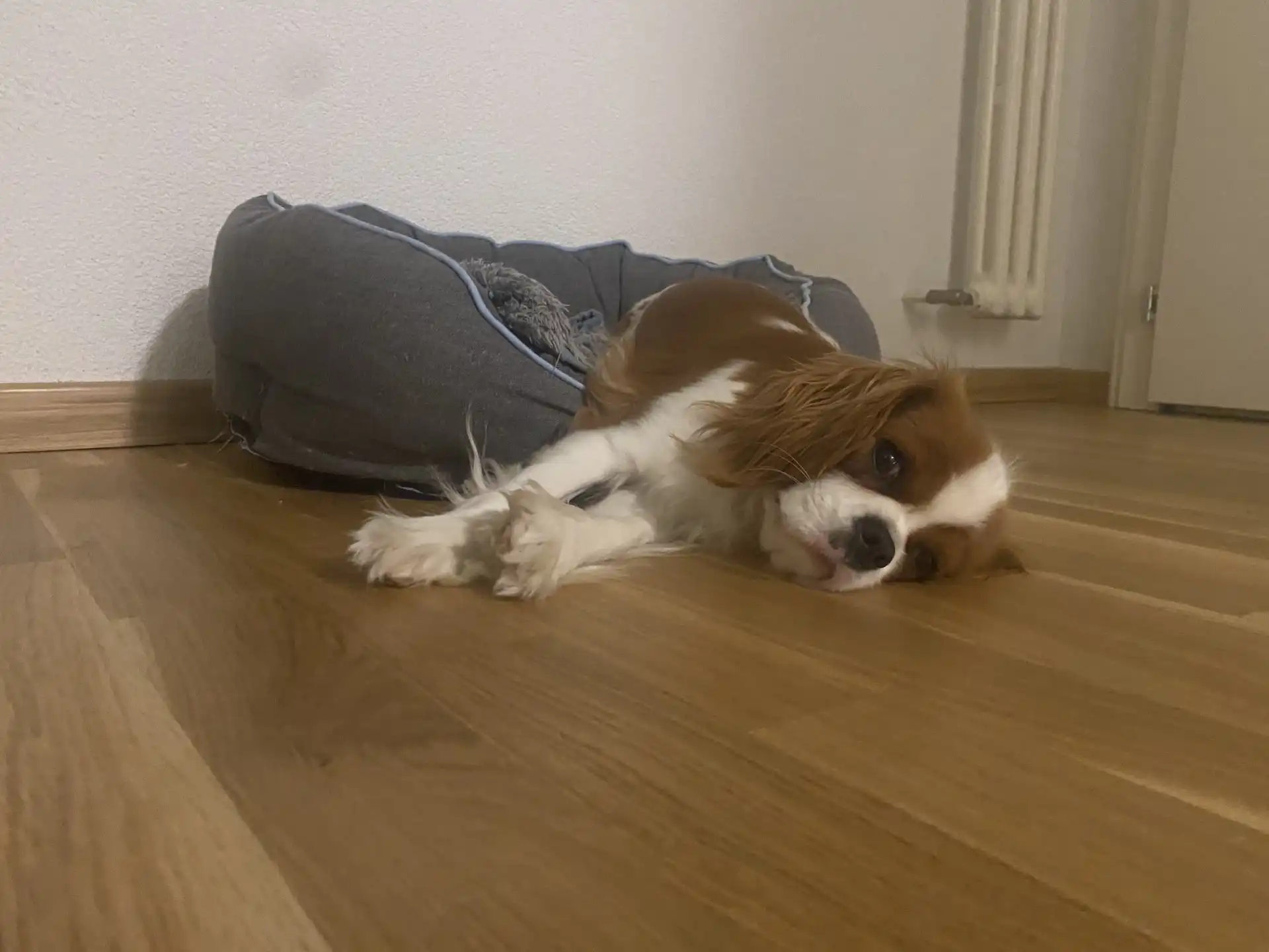 image-7