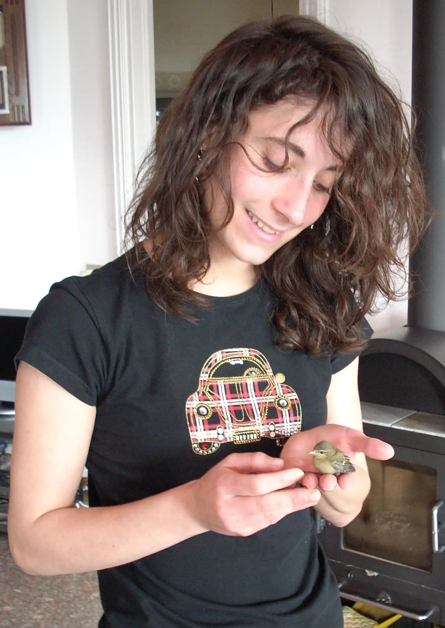 image-6
