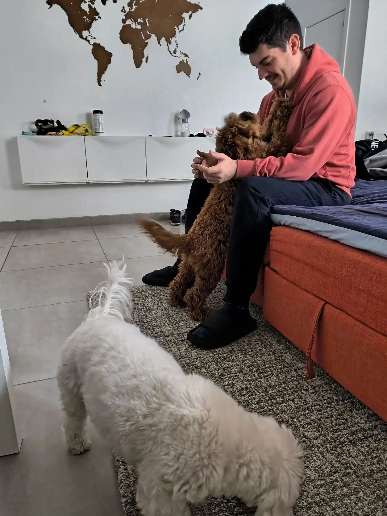 image-19