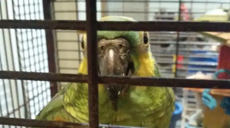 image-5