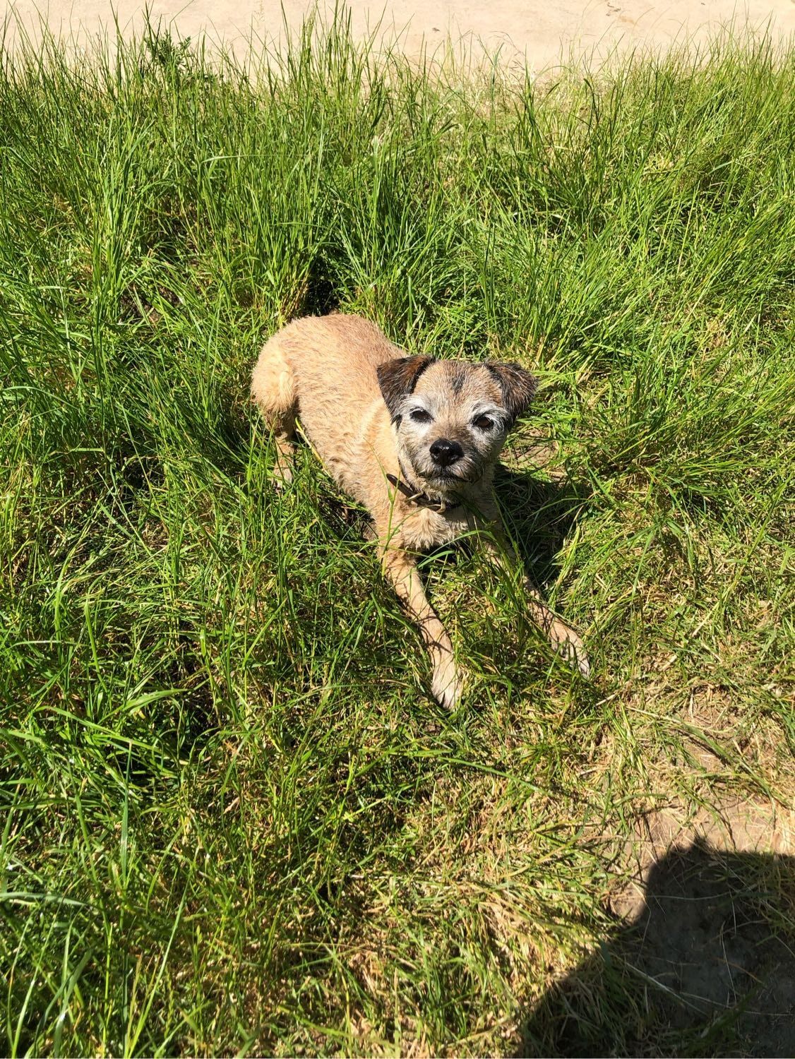 image-7