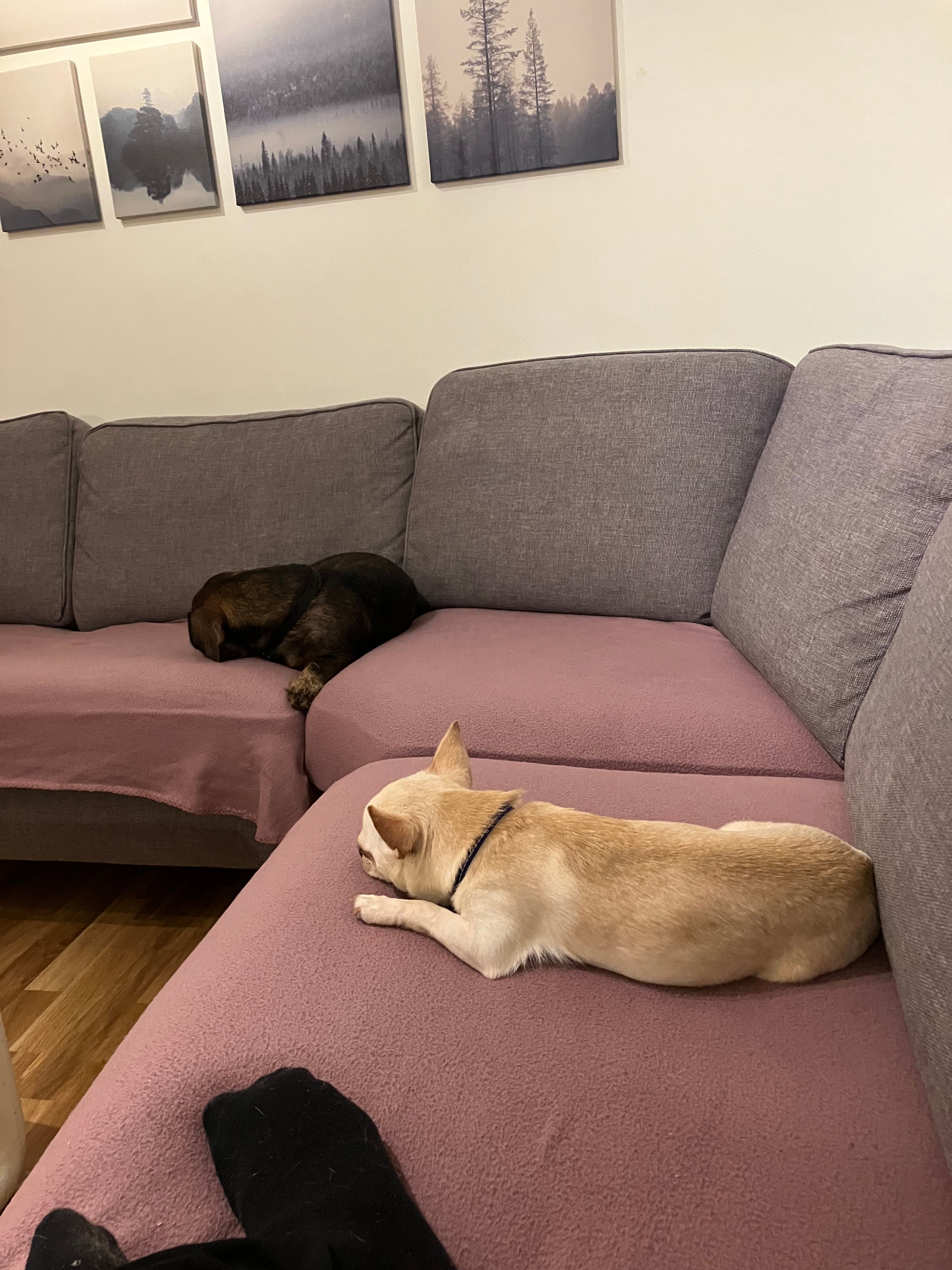 image-19