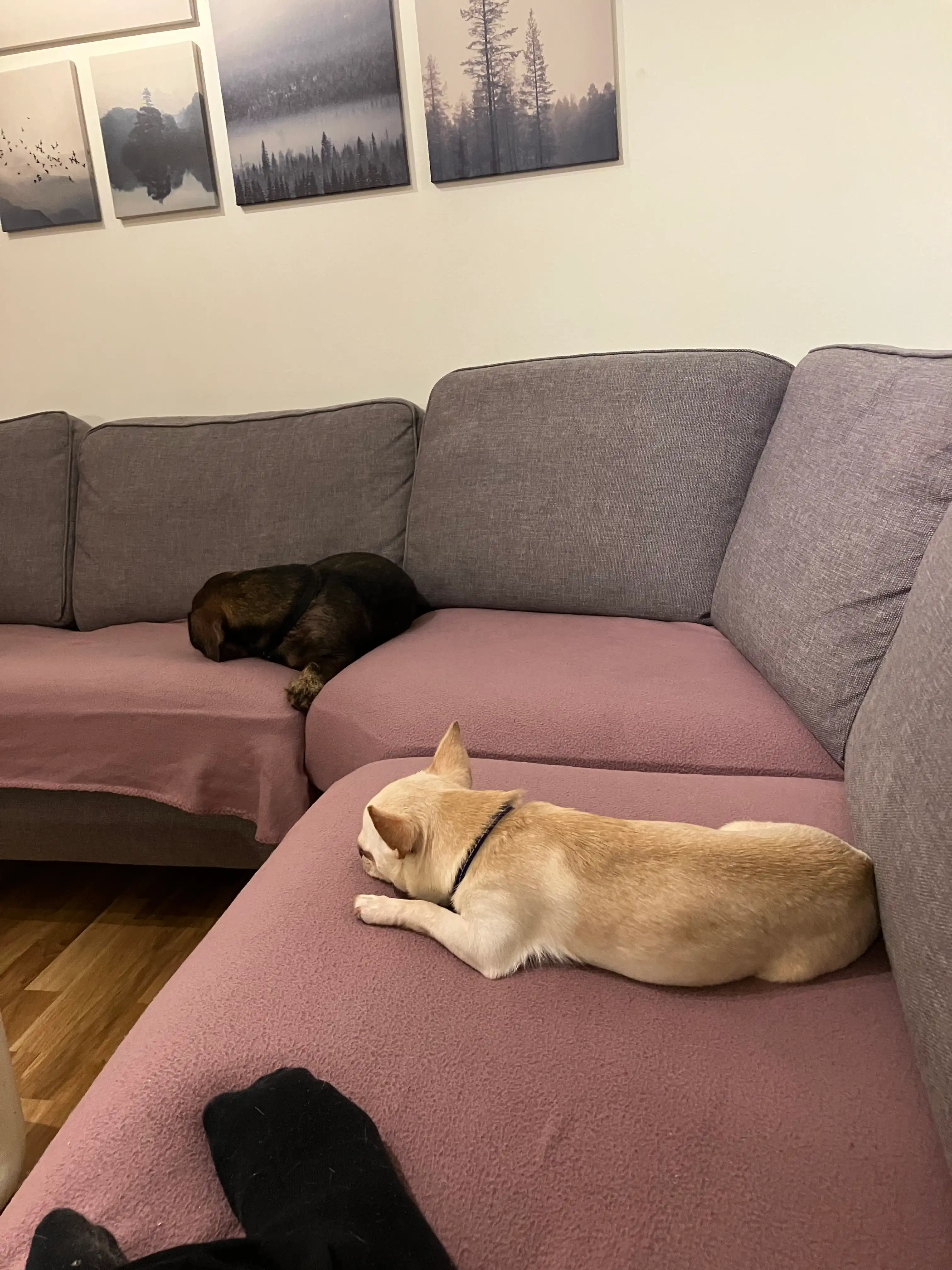 image-19